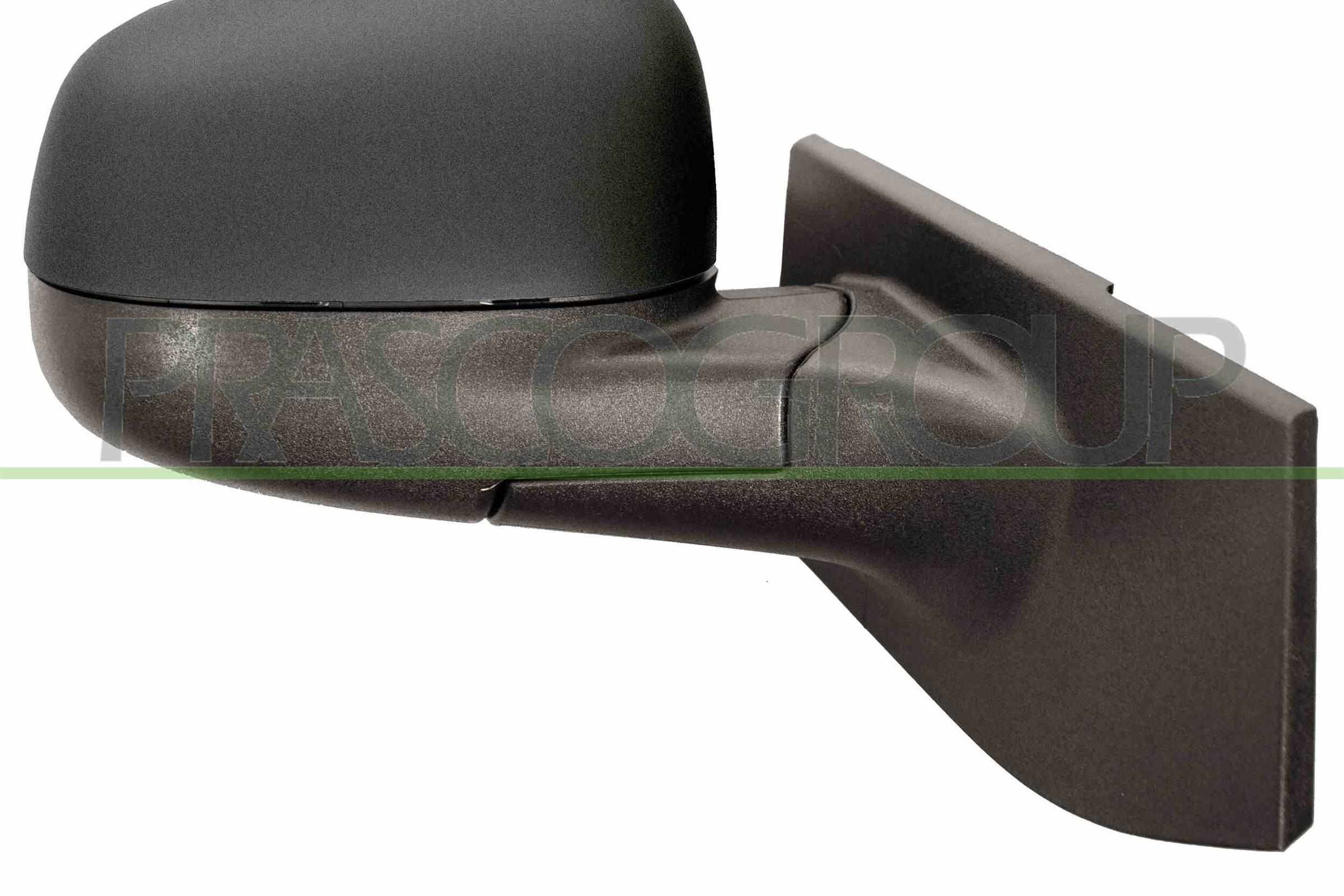 Exterior Mirror PRASCO DW3407303