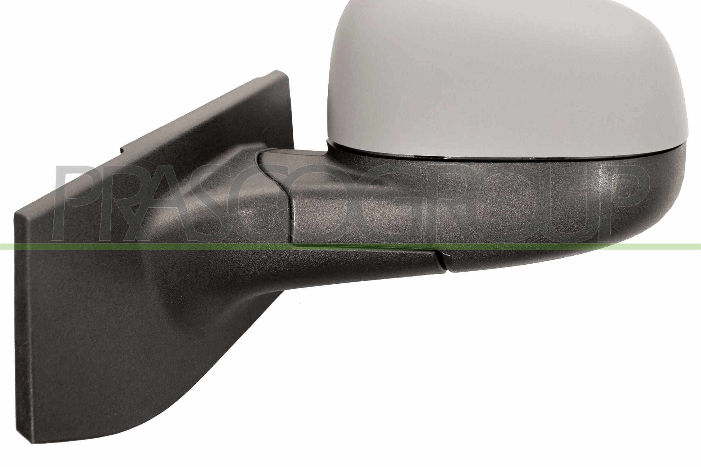 Exterior Mirror PRASCO DW3407314