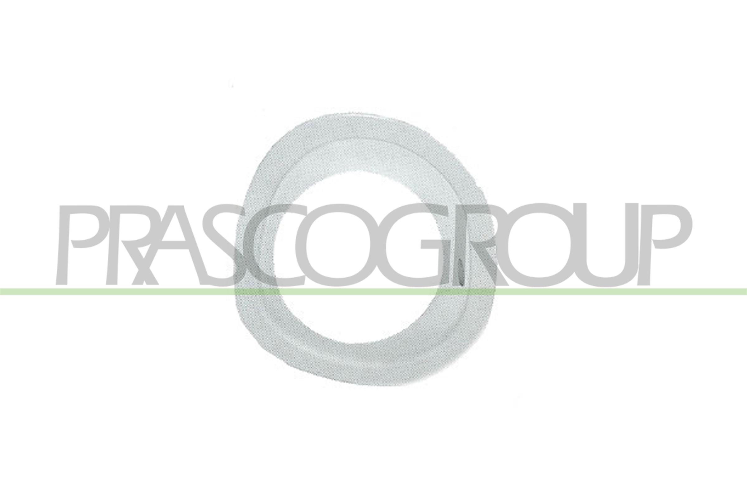 Holder, front fog light PRASCO FD1051247