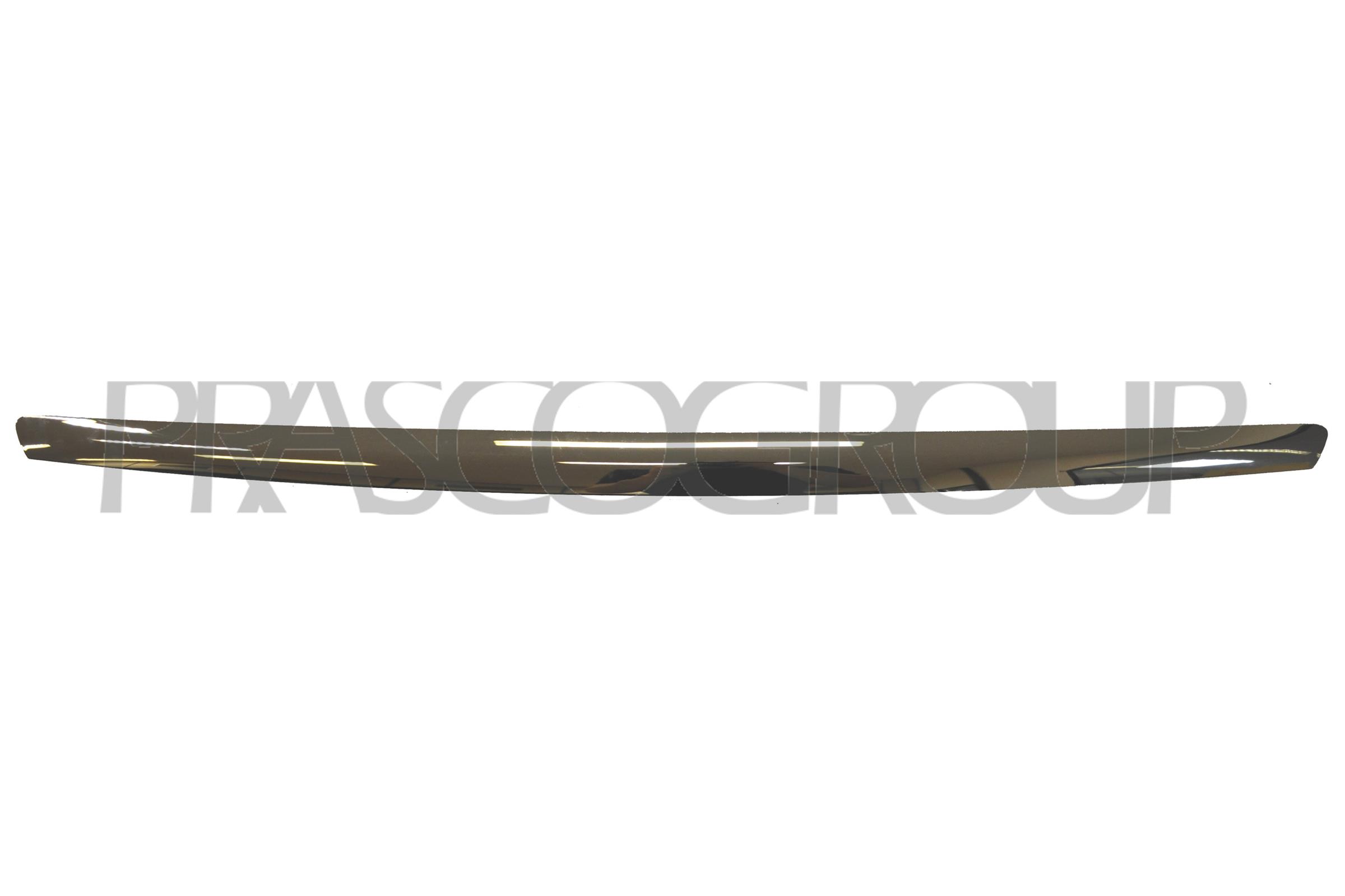 Trim/Protection Strip, radiator grille PRASCO FD1102206