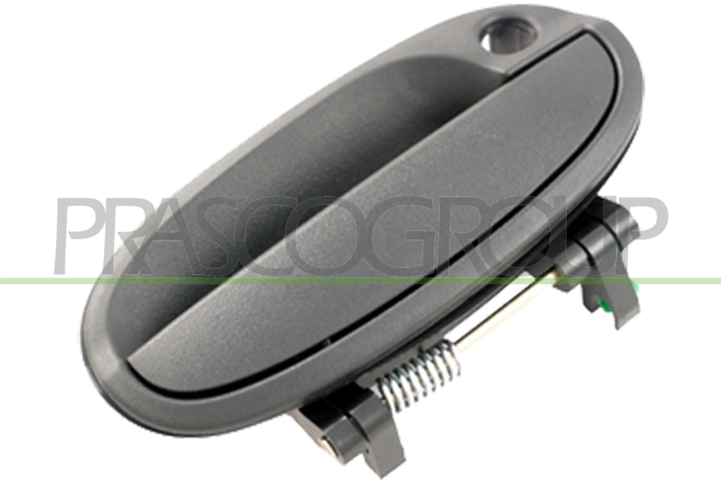 Exterior Door Handle PRASCO DW3248001