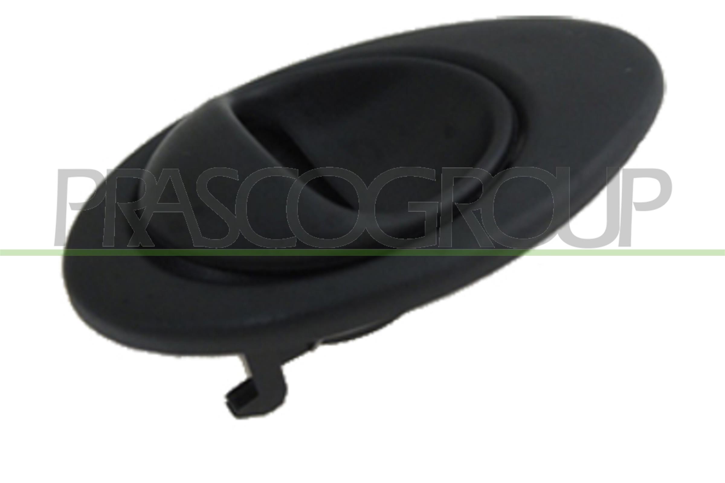 Door Handle, interior equipment PRASCO DW3248601