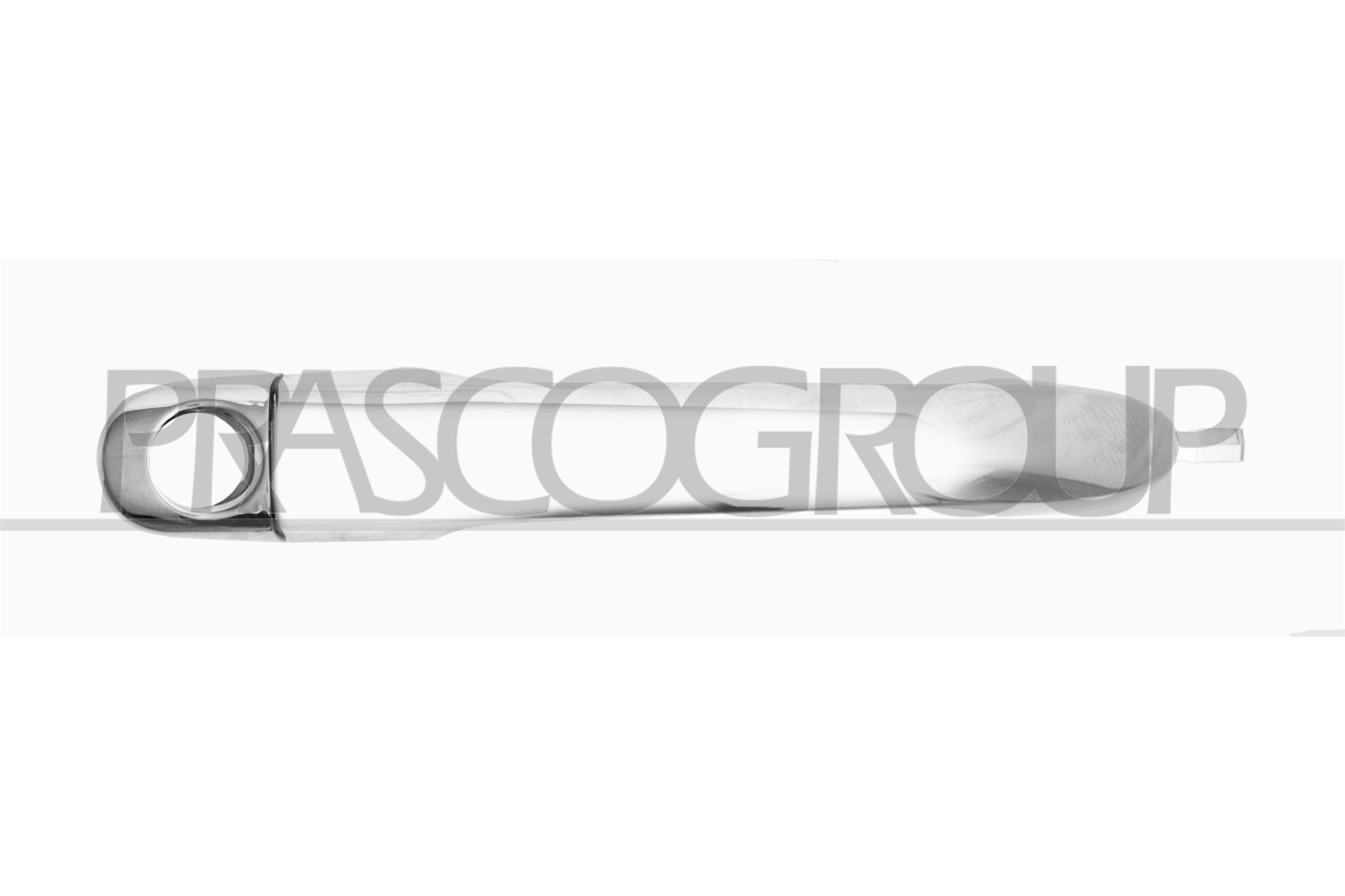 Exterior Door Handle PRASCO FD0088006