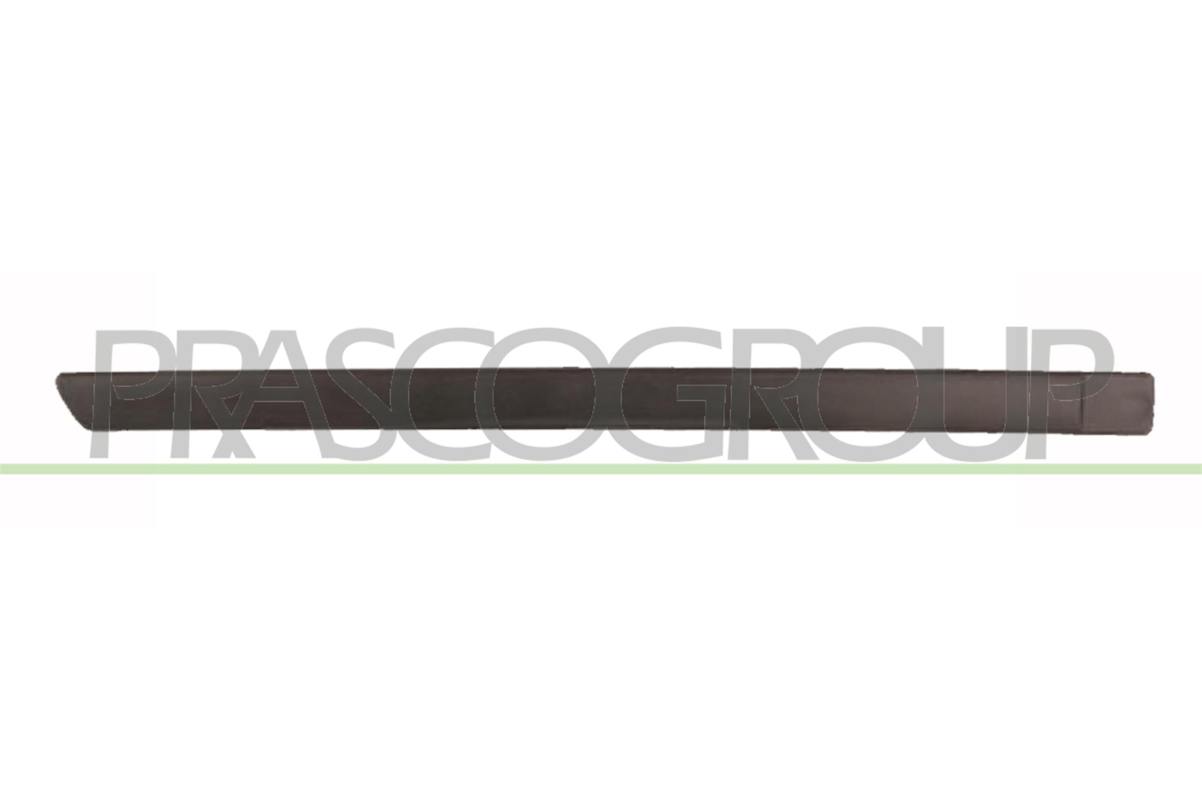 Trim/Protection Strip, door PRASCO FD4241453
