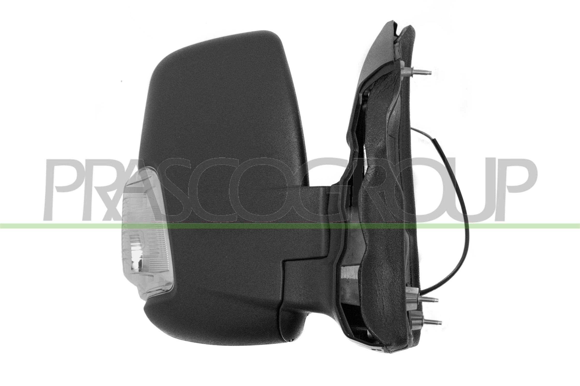 Exterior Mirror PRASCO FD9137103