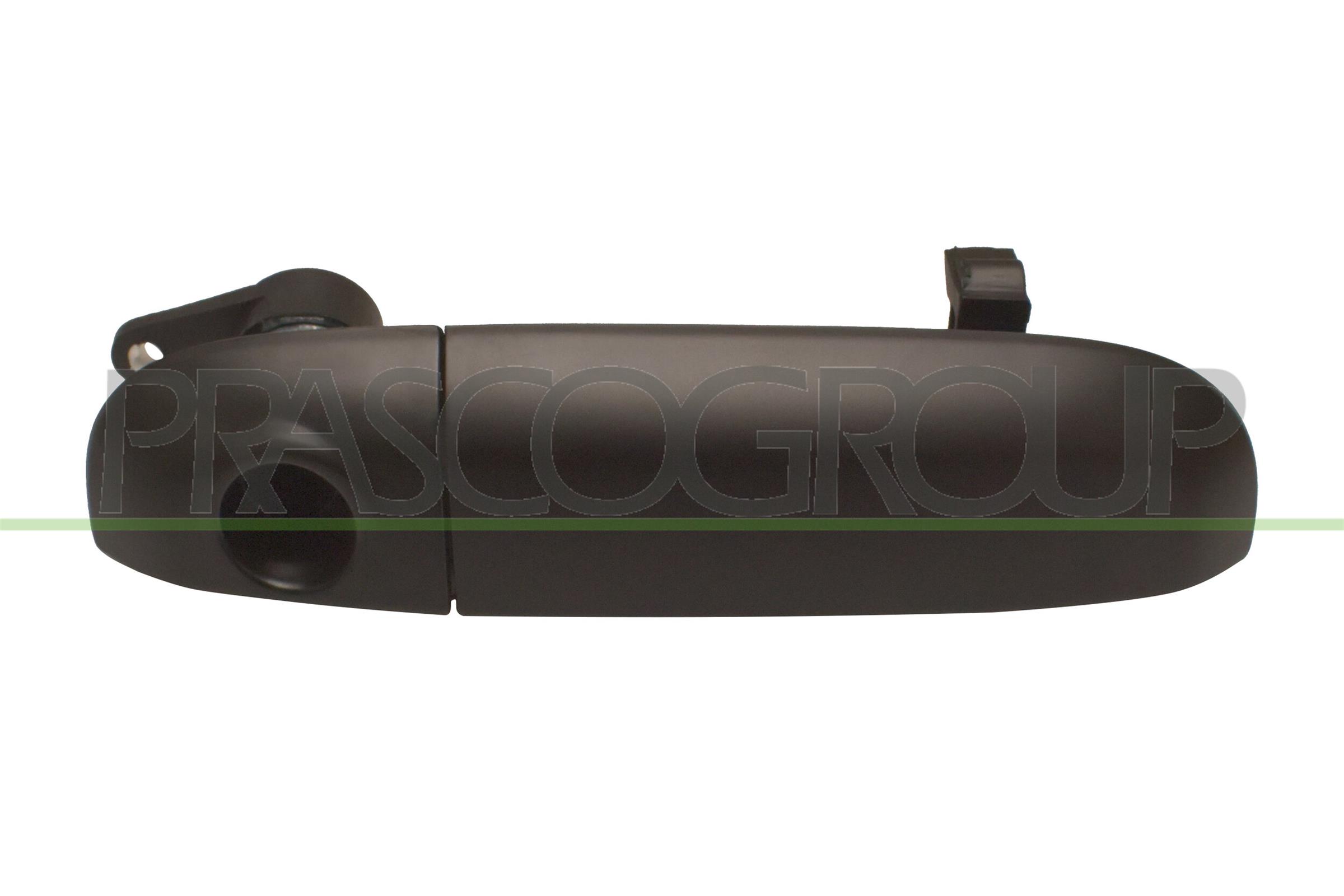Exterior Door Handle PRASCO FT1248205
