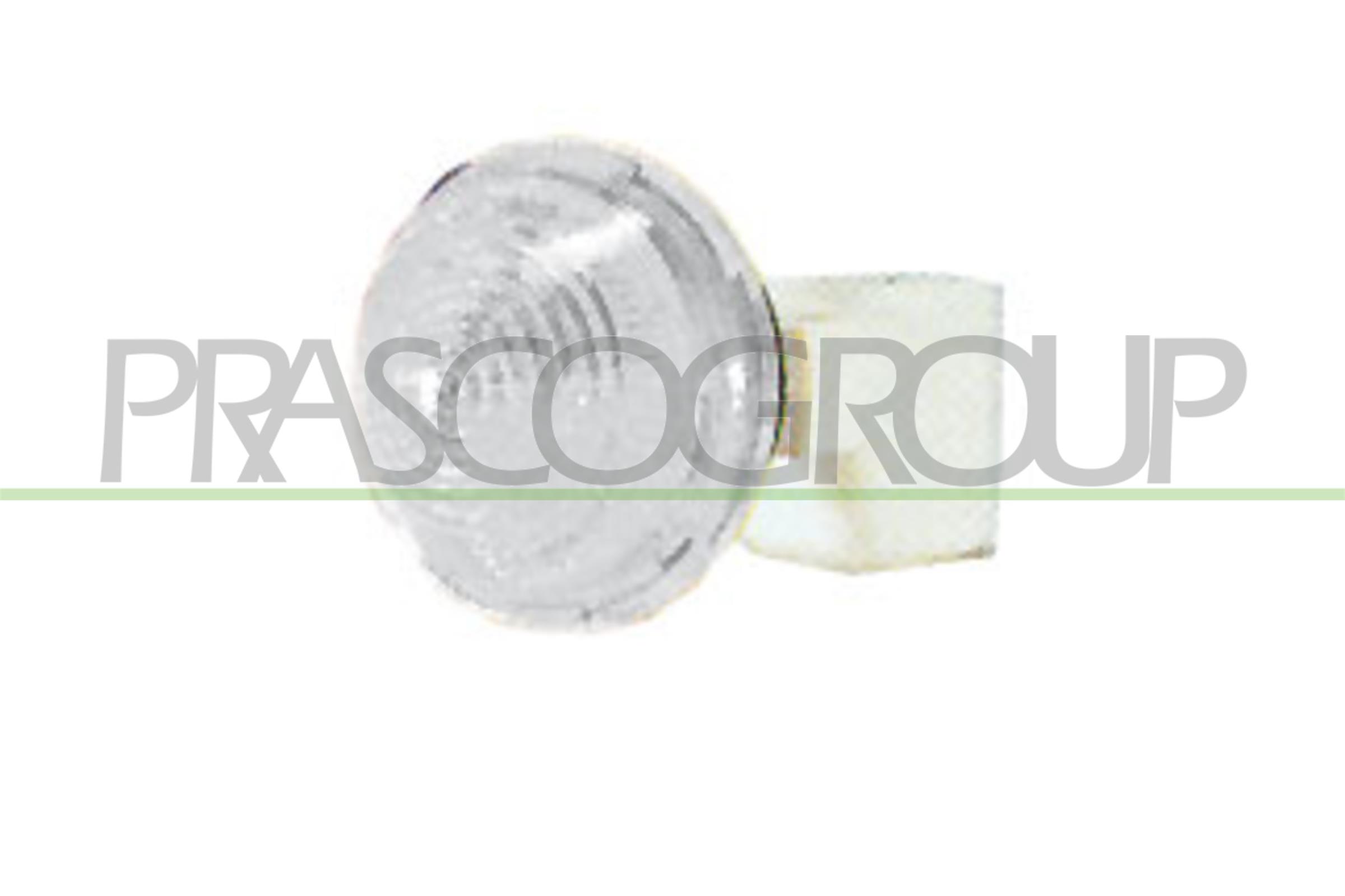Direction Indicator PRASCO FT0194041