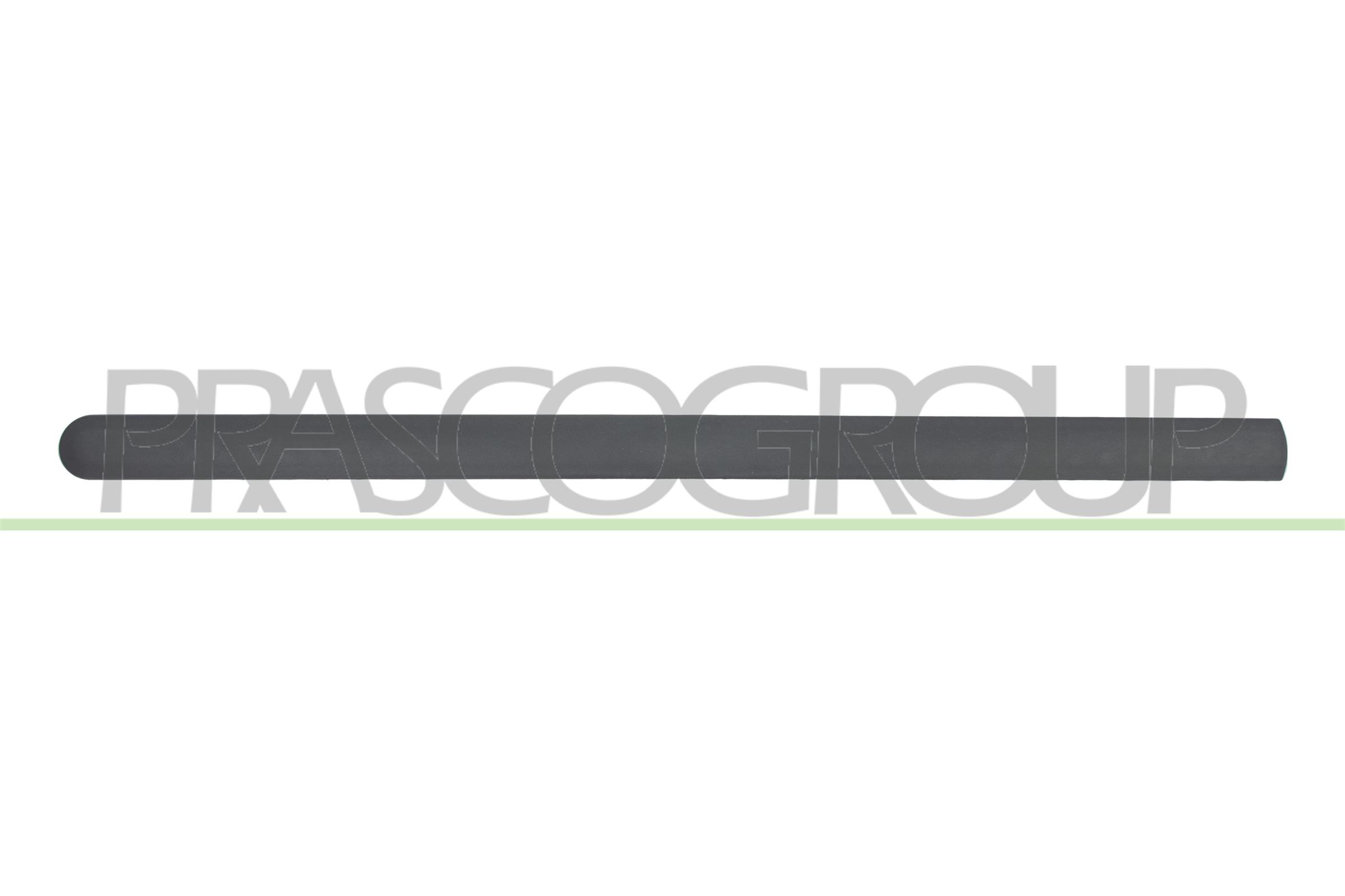 Trim/Protection Strip, door PRASCO FD9321404