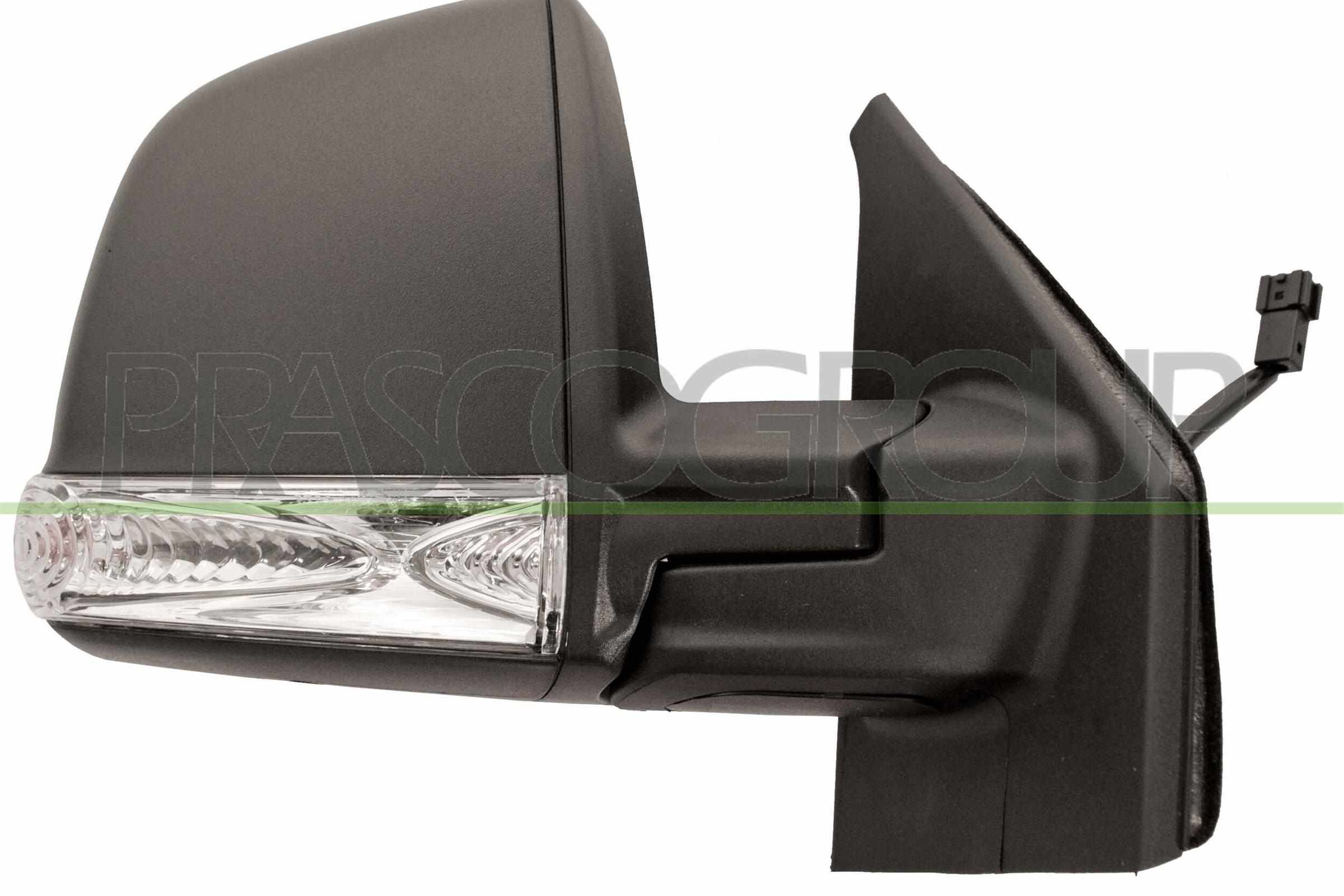Exterior Mirror PRASCO FT9107113