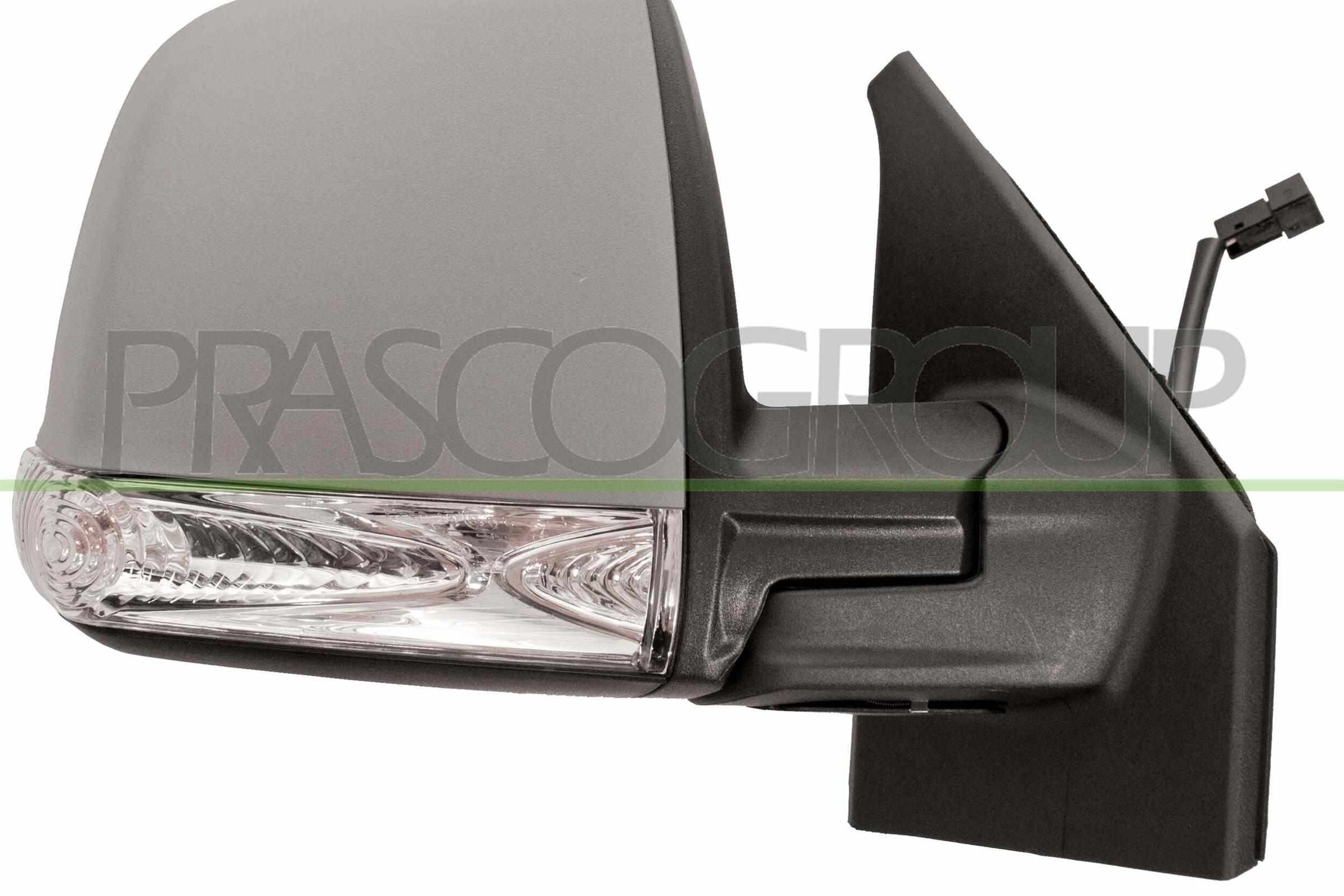 Exterior Mirror PRASCO FT9107123