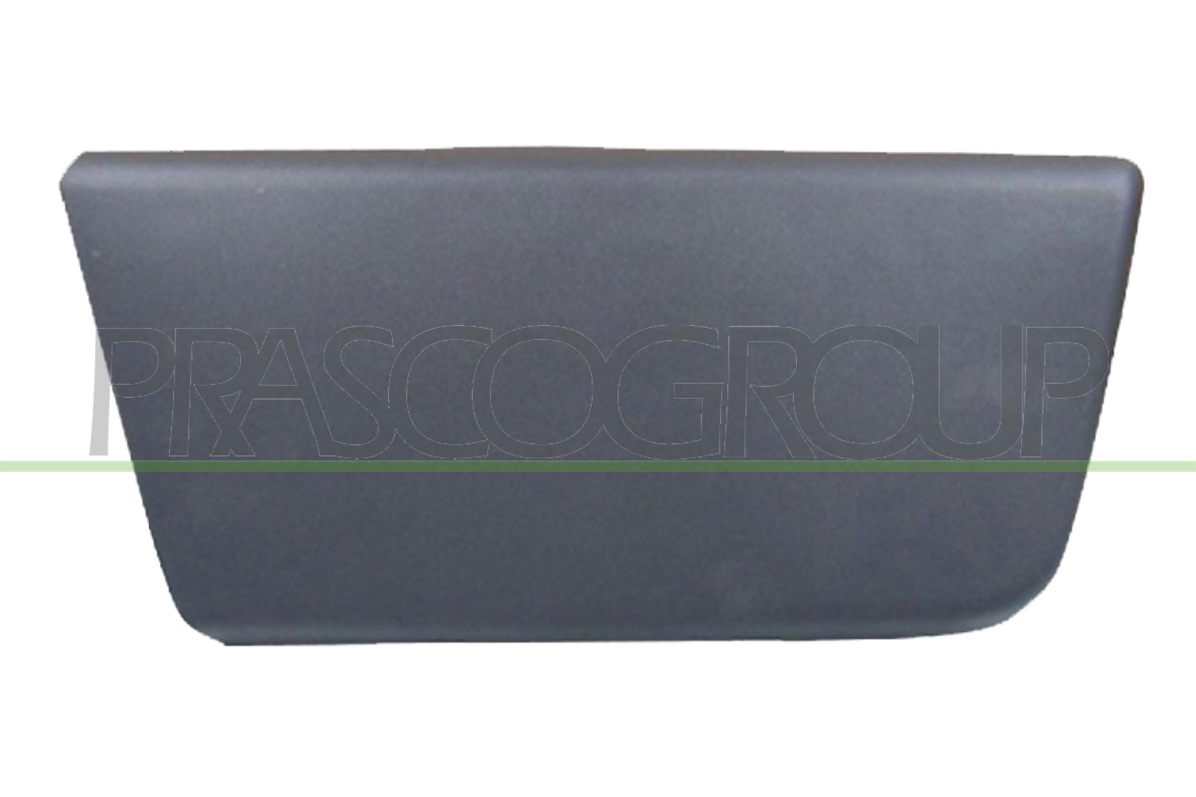 Trim/Protection Strip, door PRASCO FT9301403