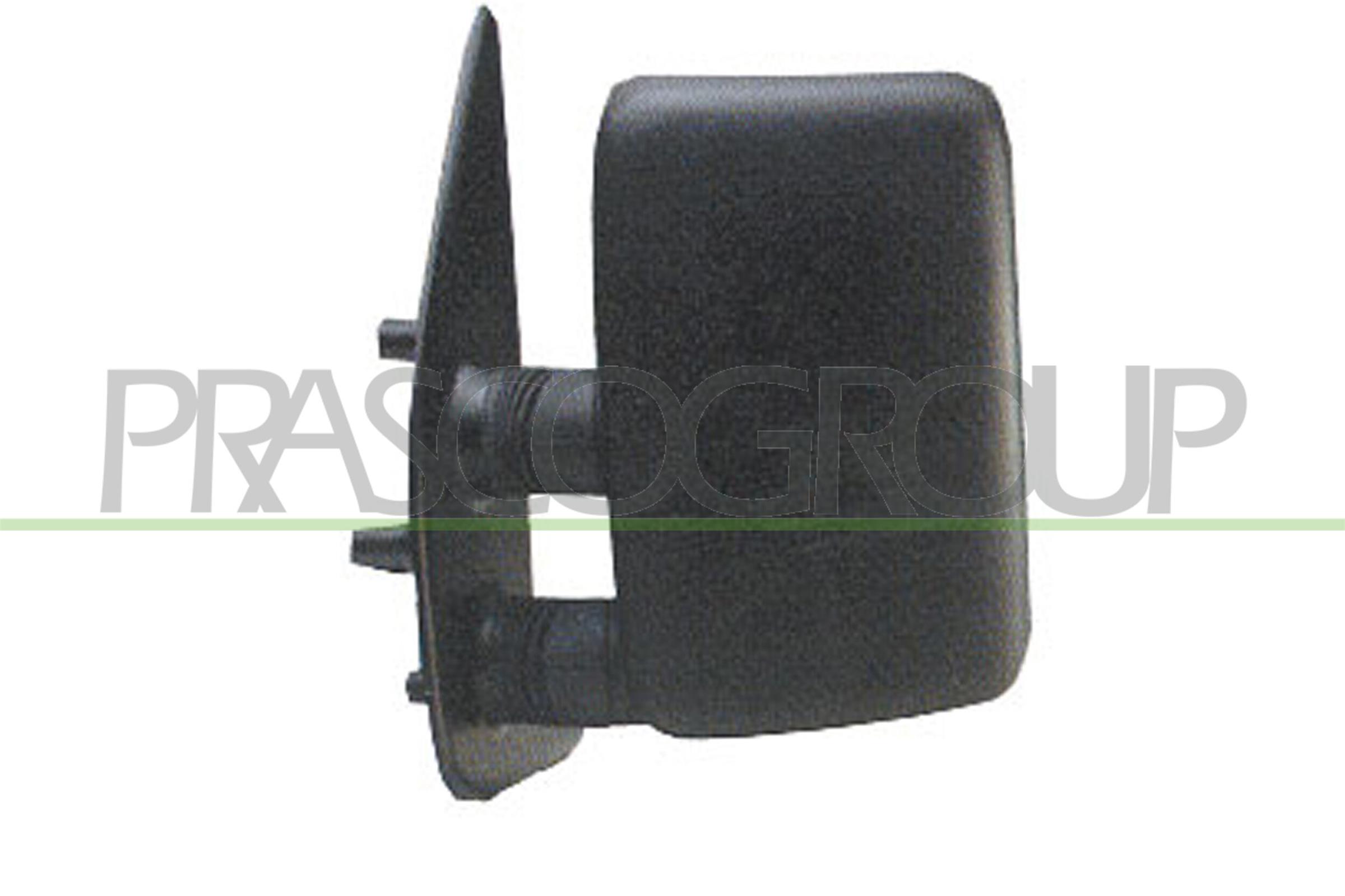 Exterior Mirror PRASCO FT9197004