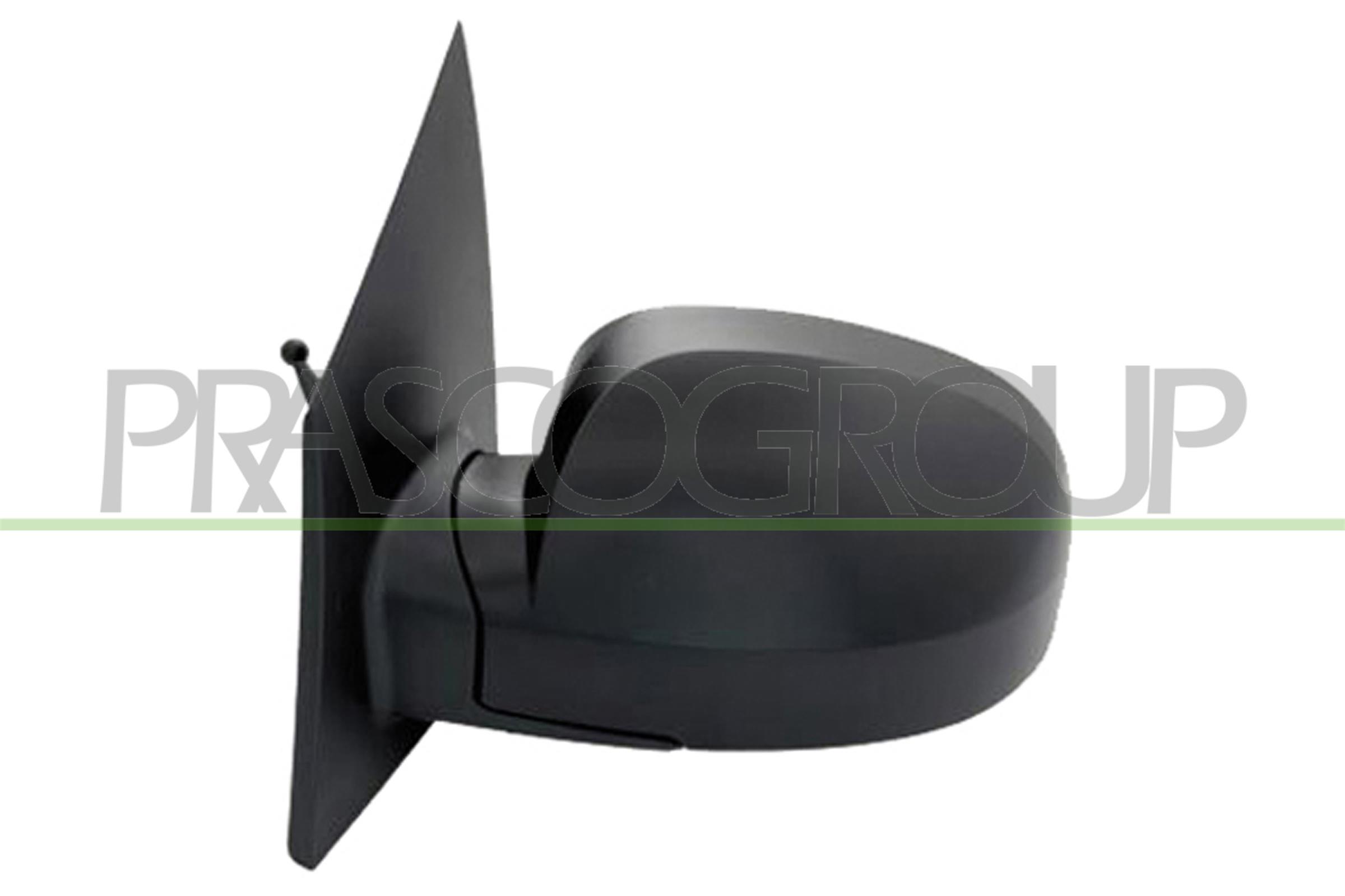 Exterior Mirror PRASCO HN3307114