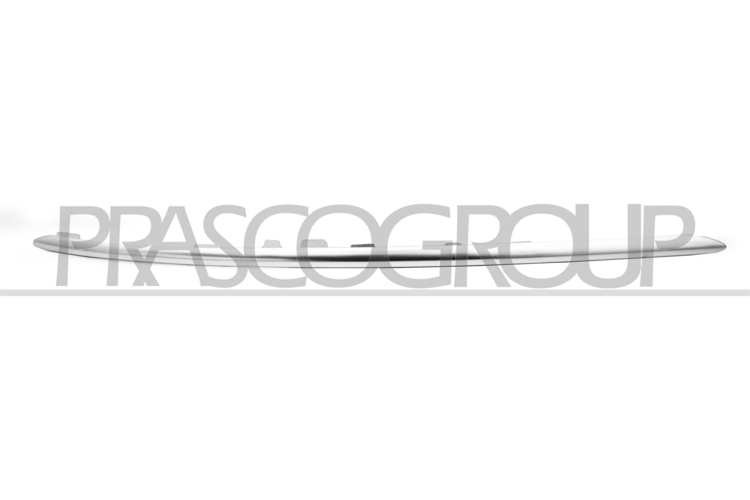Trim/Protection Strip, radiator grille PRASCO ME0471224