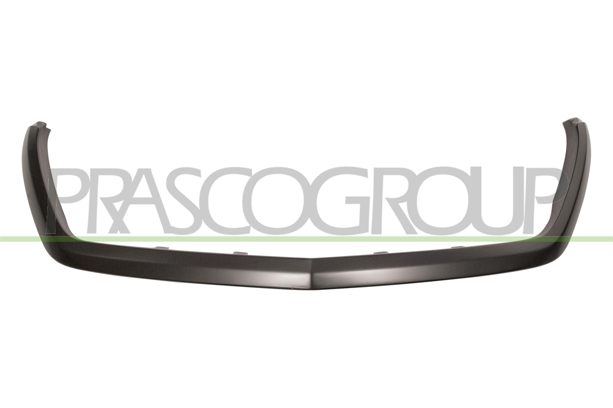 Trim/Protection Strip, radiator grille PRASCO ME9212305