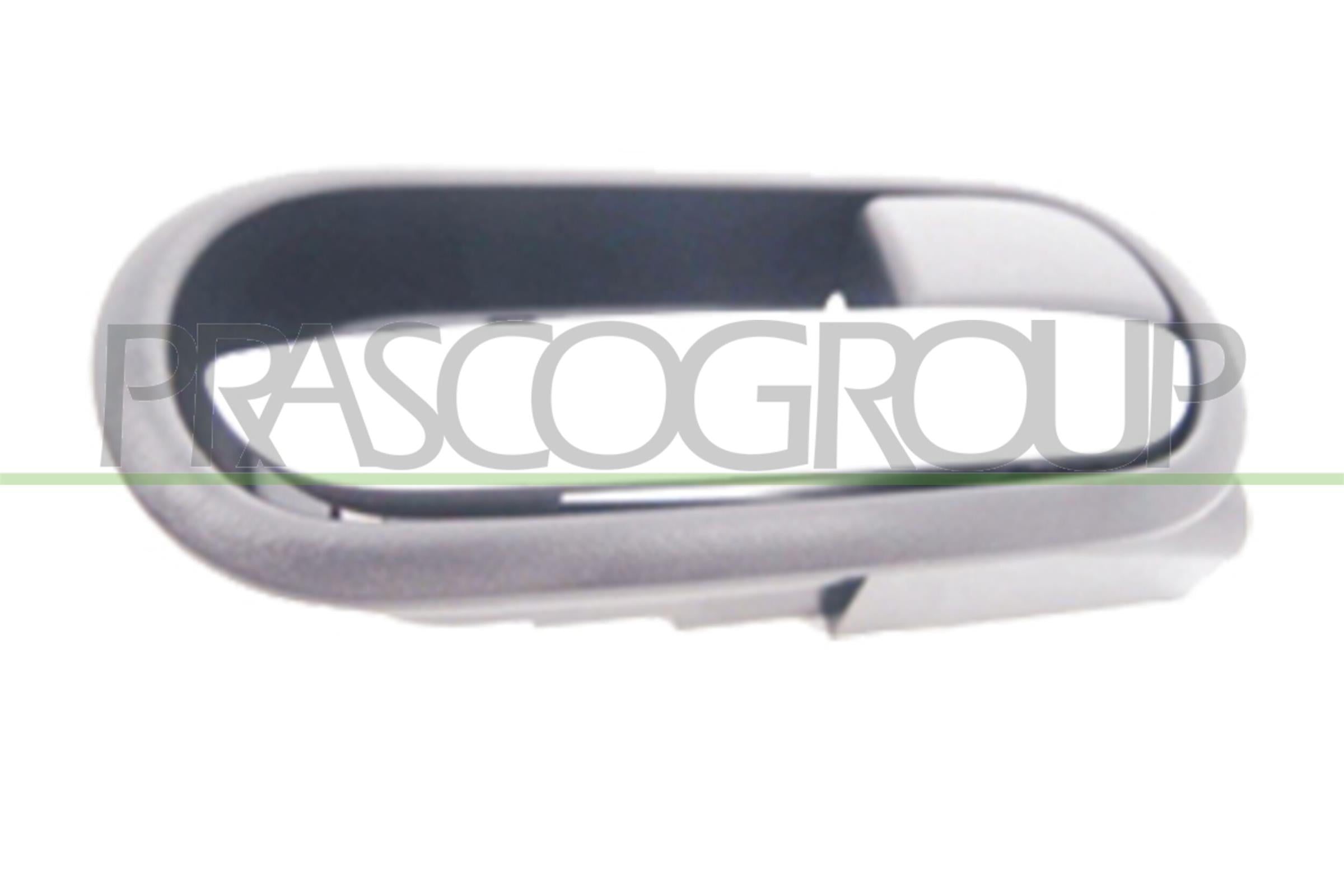 Door Handle, interior equipment PRASCO MZ3098605