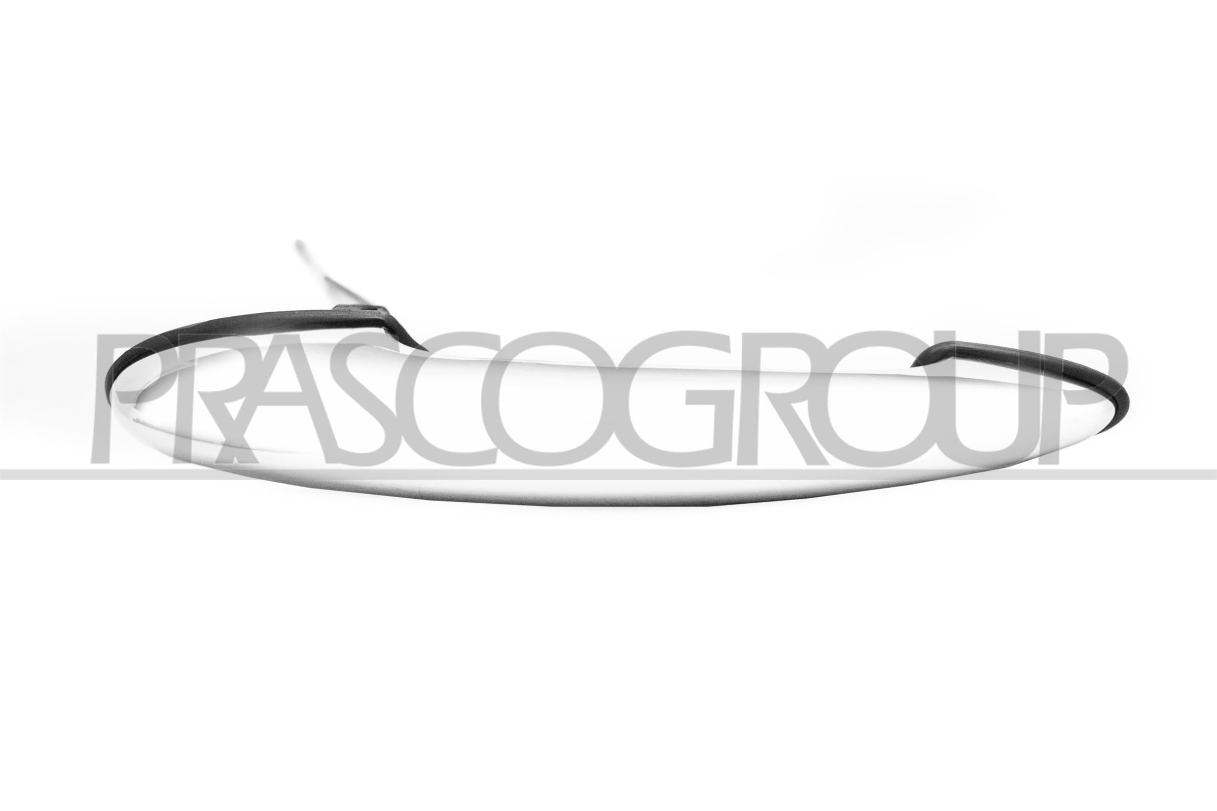 Exterior Door Handle PRASCO MN3048005