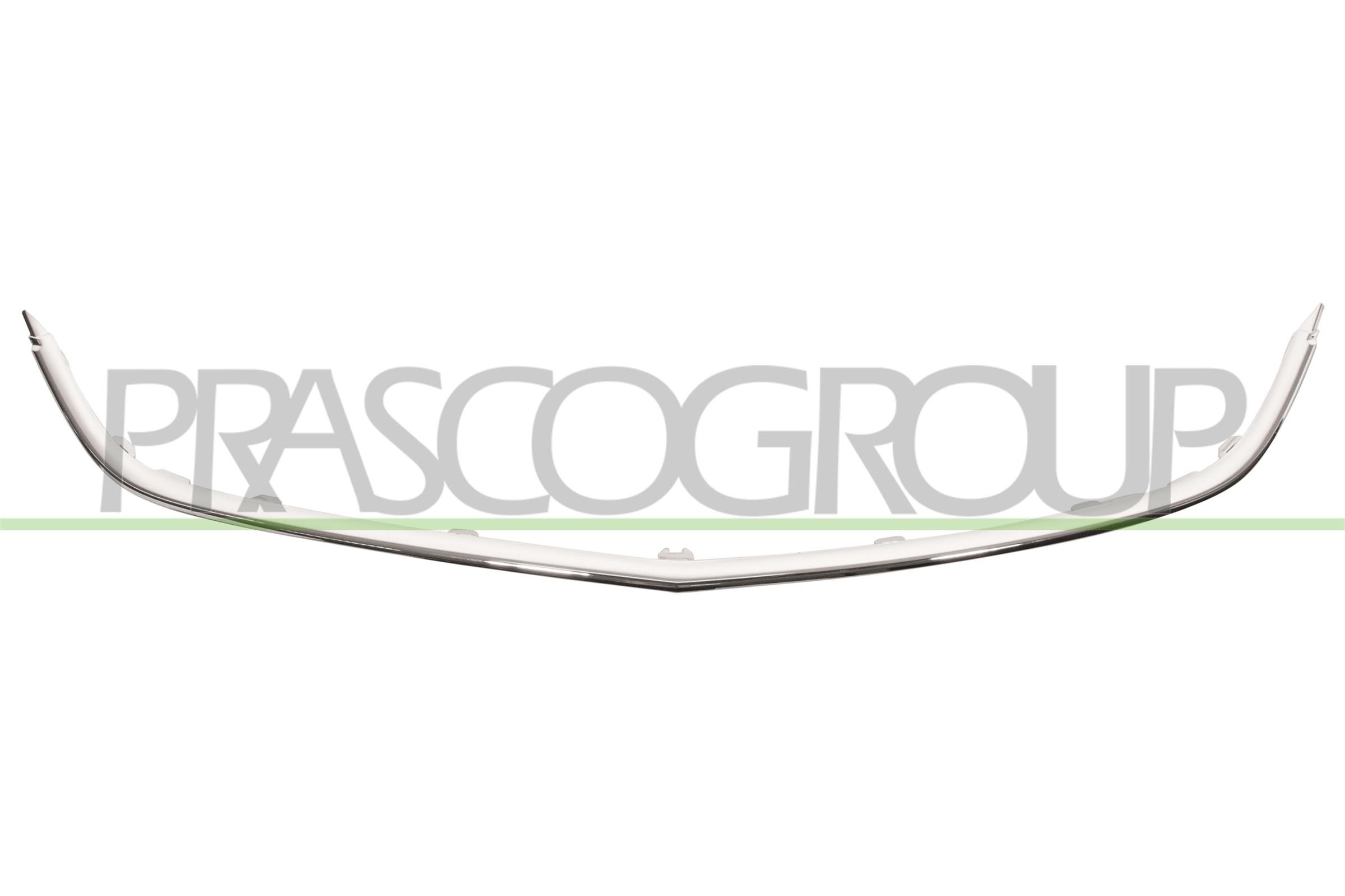 Frame, radiator grille PRASCO OP4162305