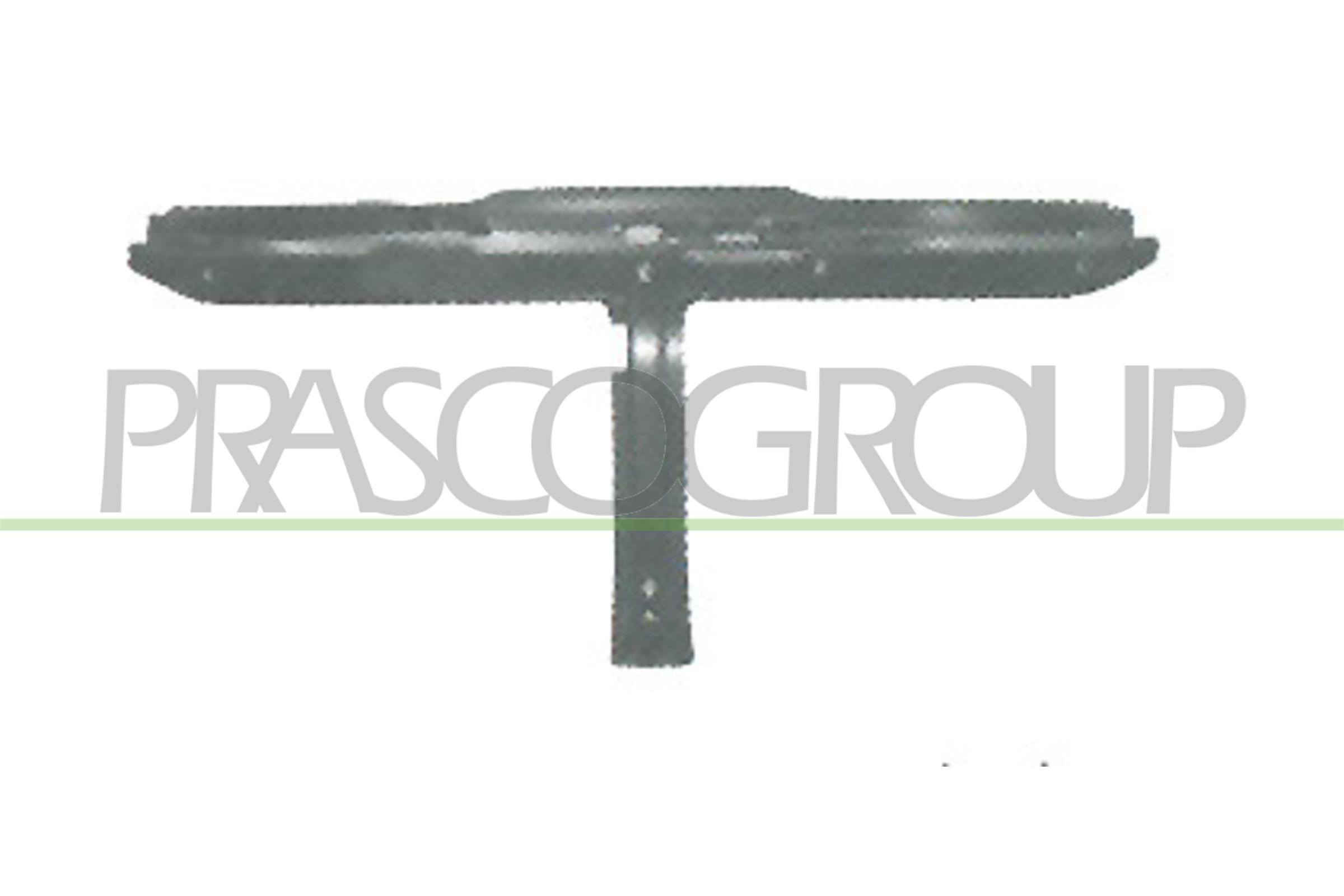 Radiator Support PRASCO OP9503201