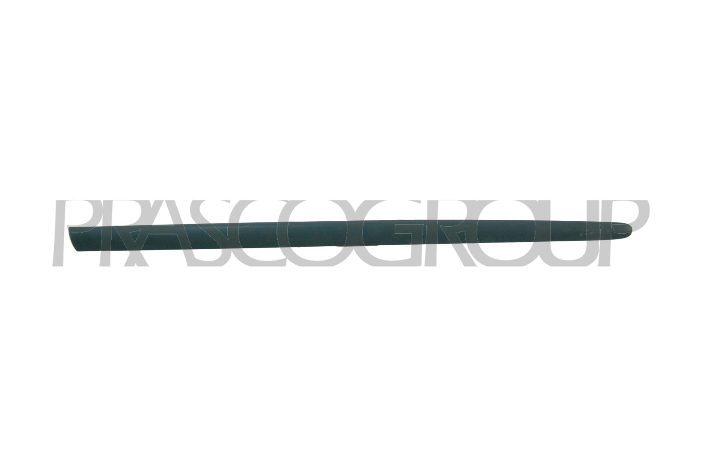 Trim/Protection Strip, door PRASCO PG0091413