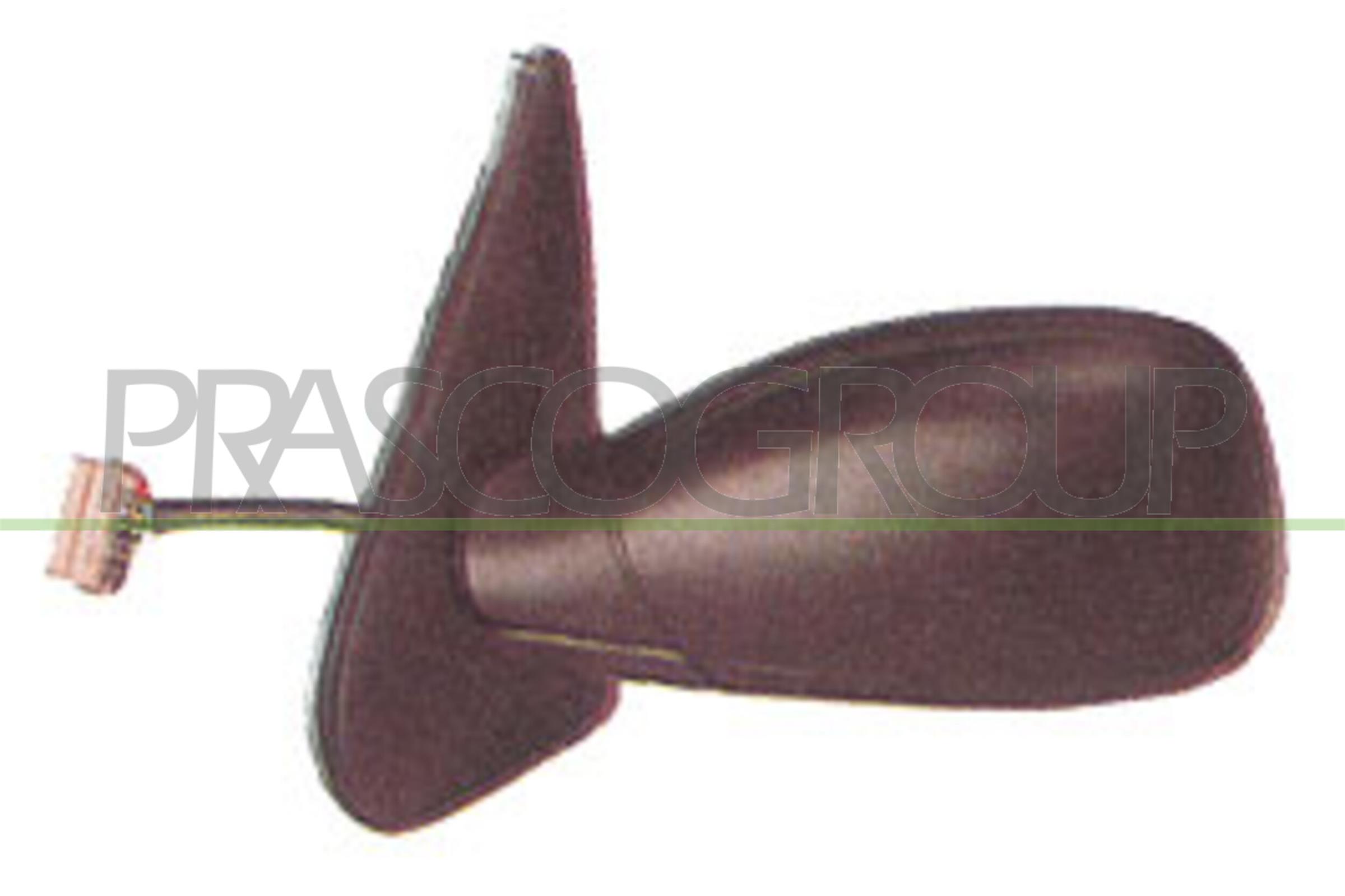 Exterior Mirror PRASCO PG0397314