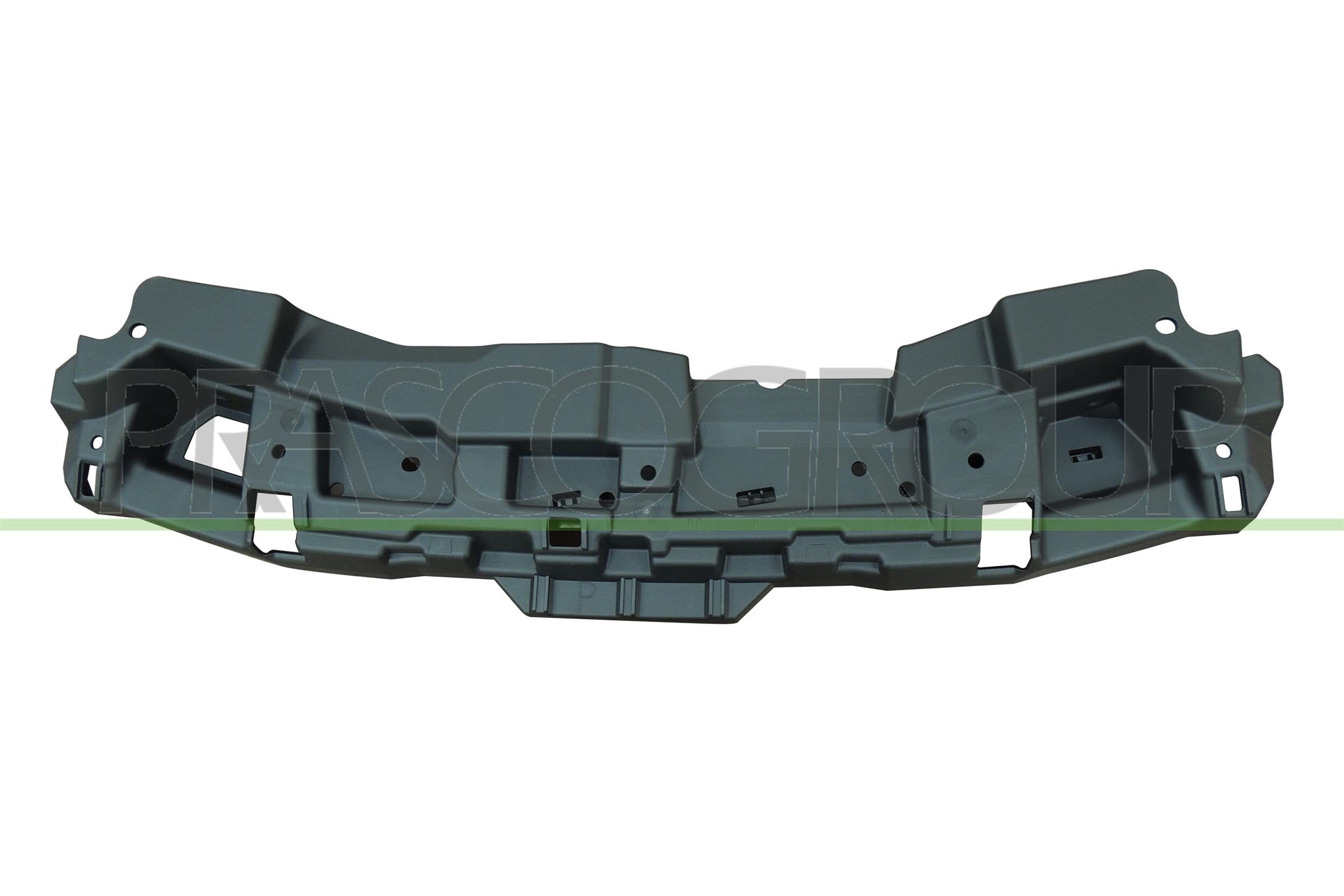 Radiator Support PRASCO PG2063201