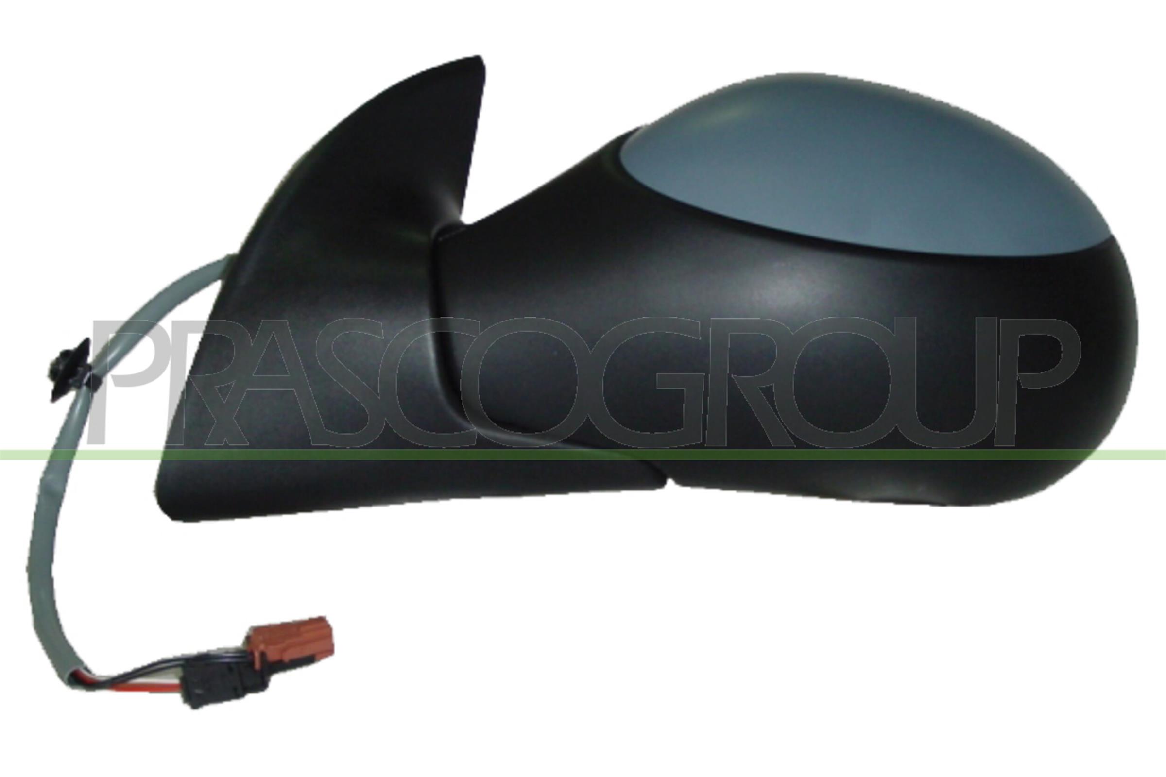 Exterior Mirror PRASCO PG2207314P