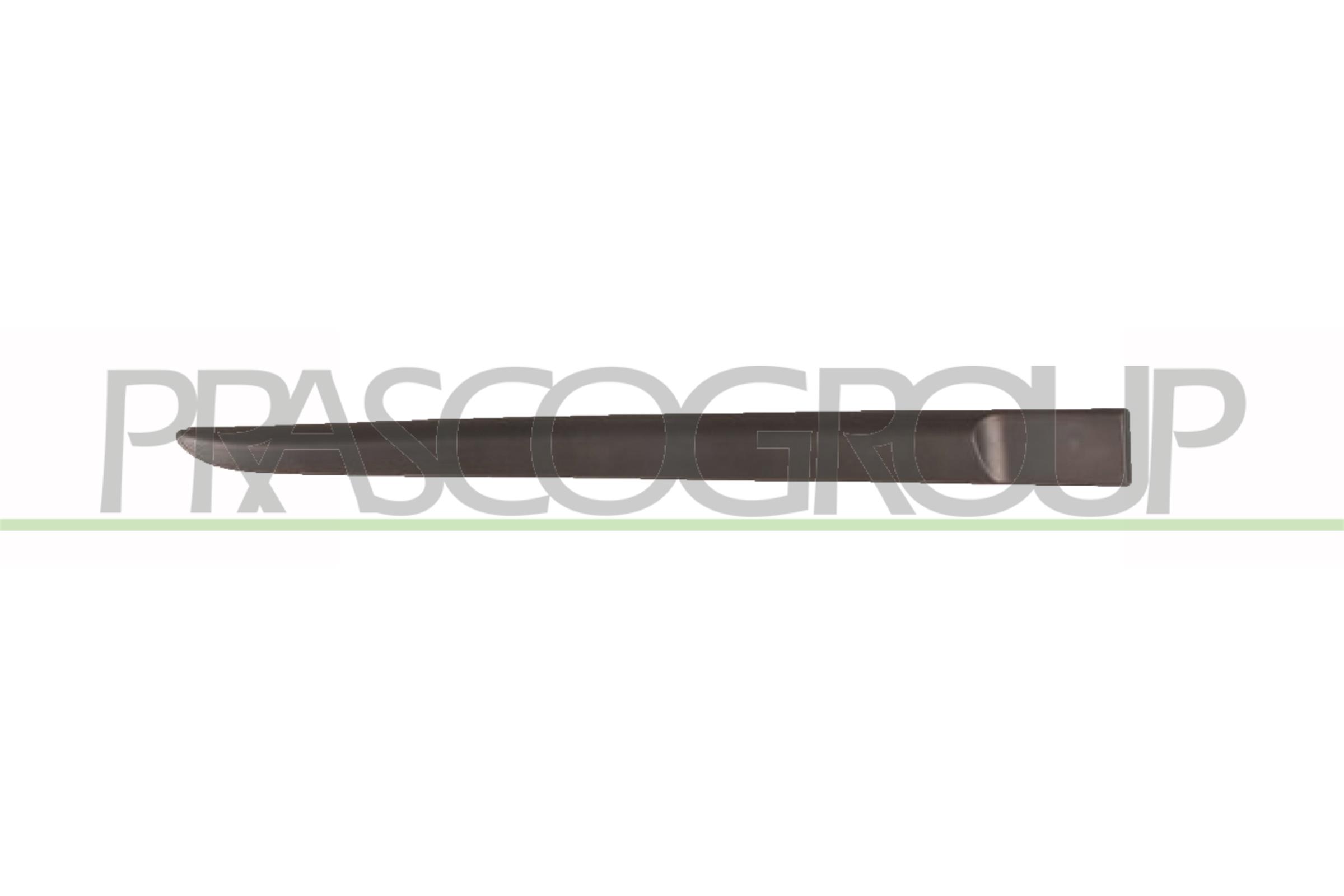 Trim/Protection Strip, door PRASCO RN3251453