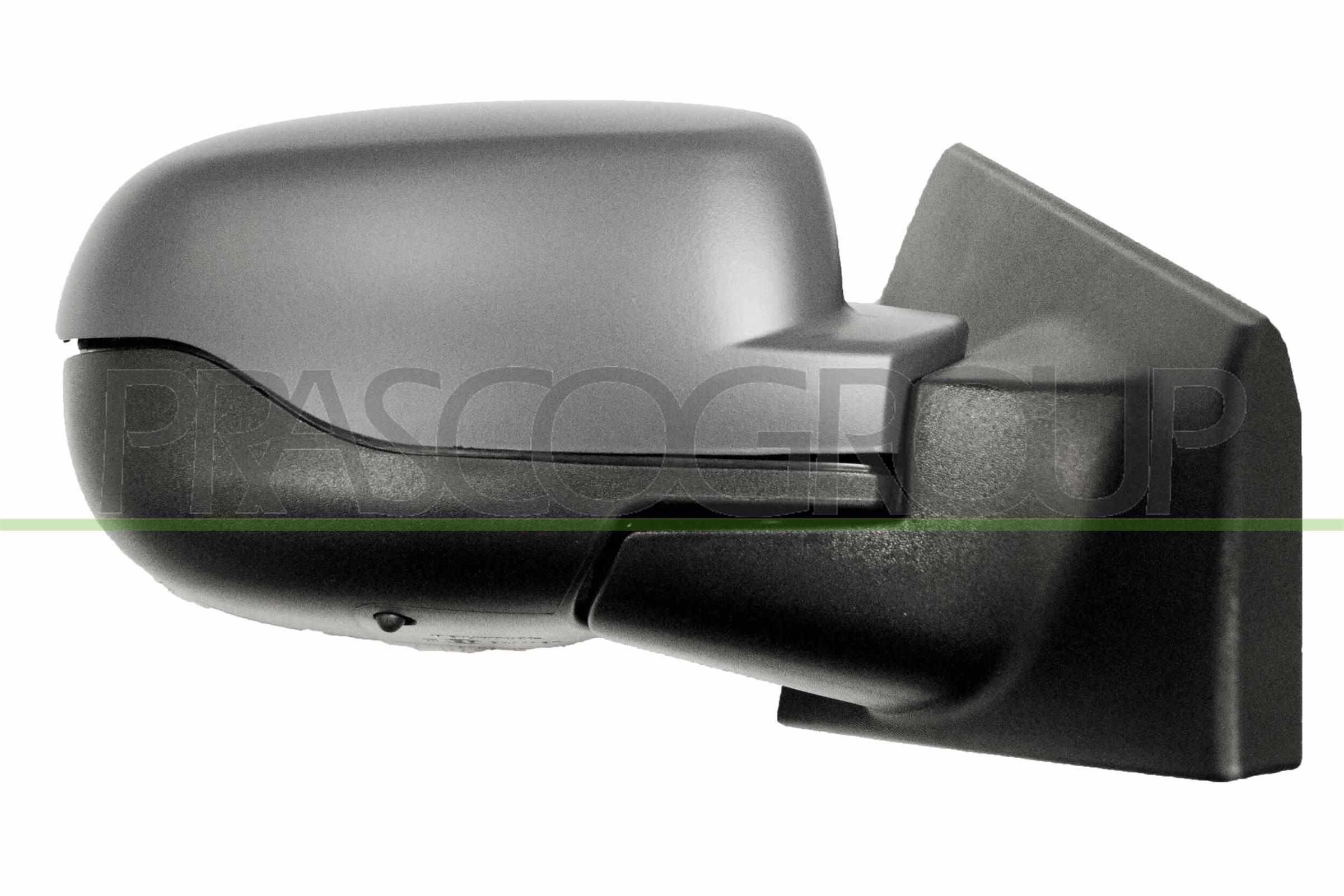 Exterior Mirror PRASCO RN3277323P