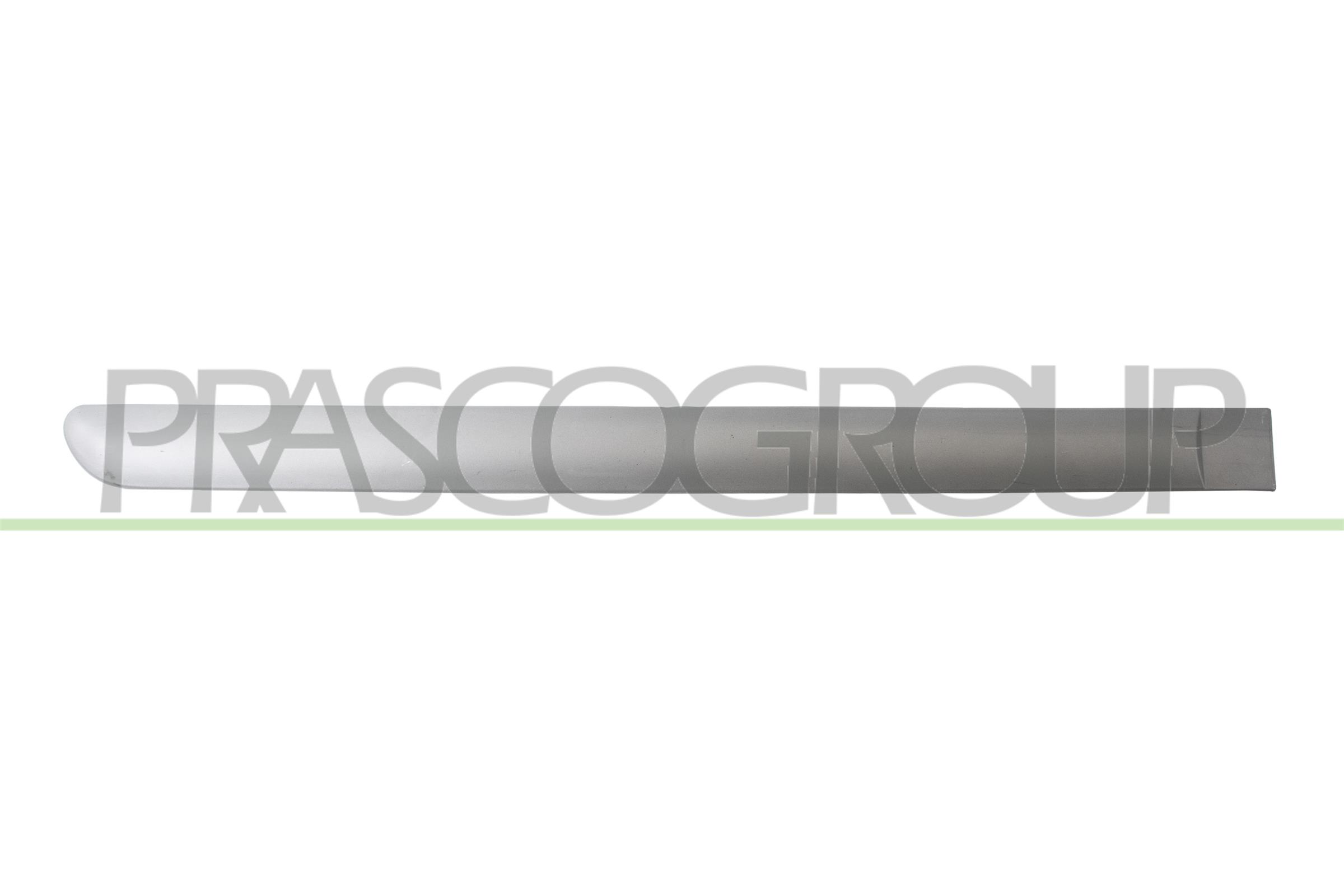 Trim/Protection Strip, door PRASCO PG4221463
