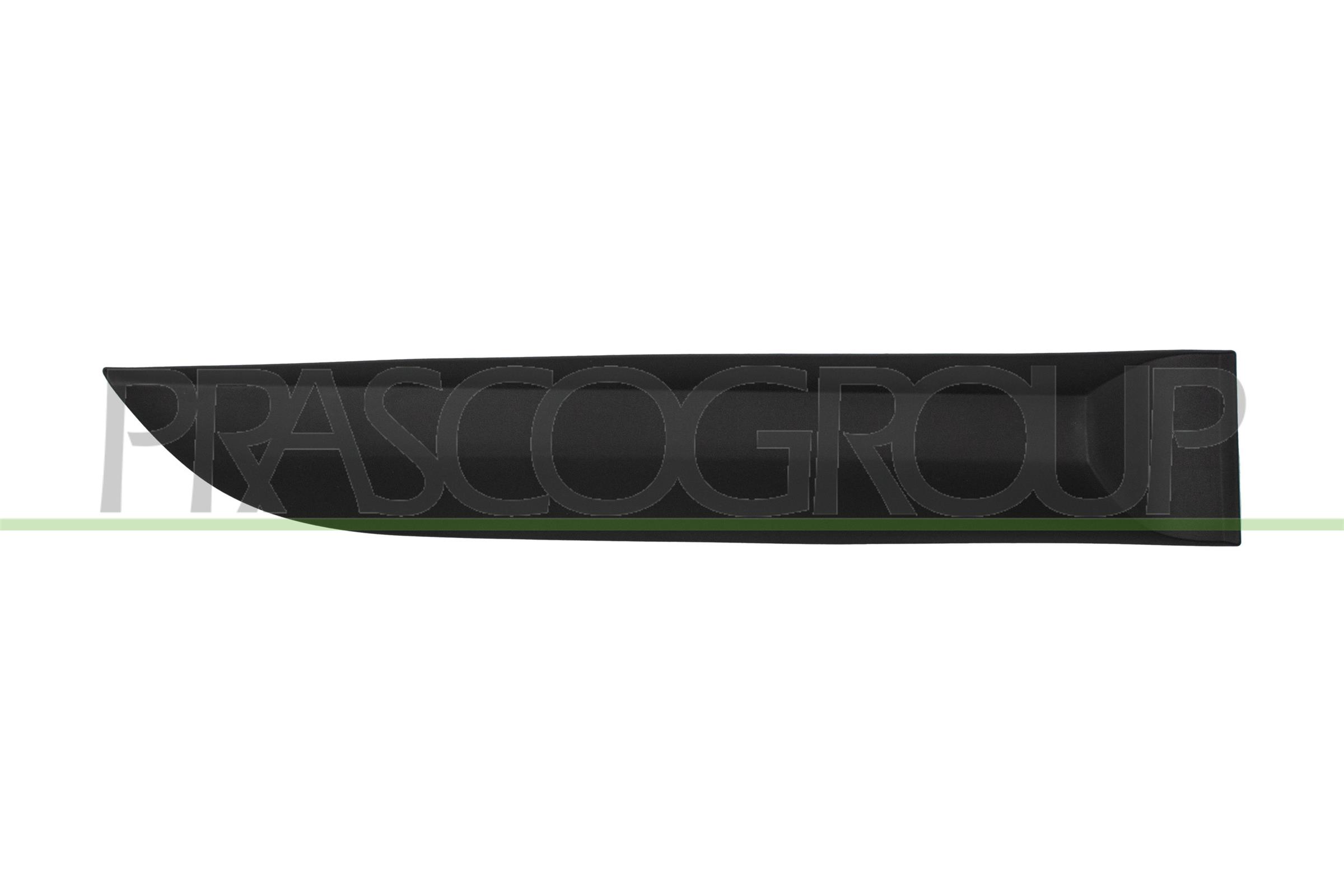 Trim/Protection Strip, door PRASCO RN4241453