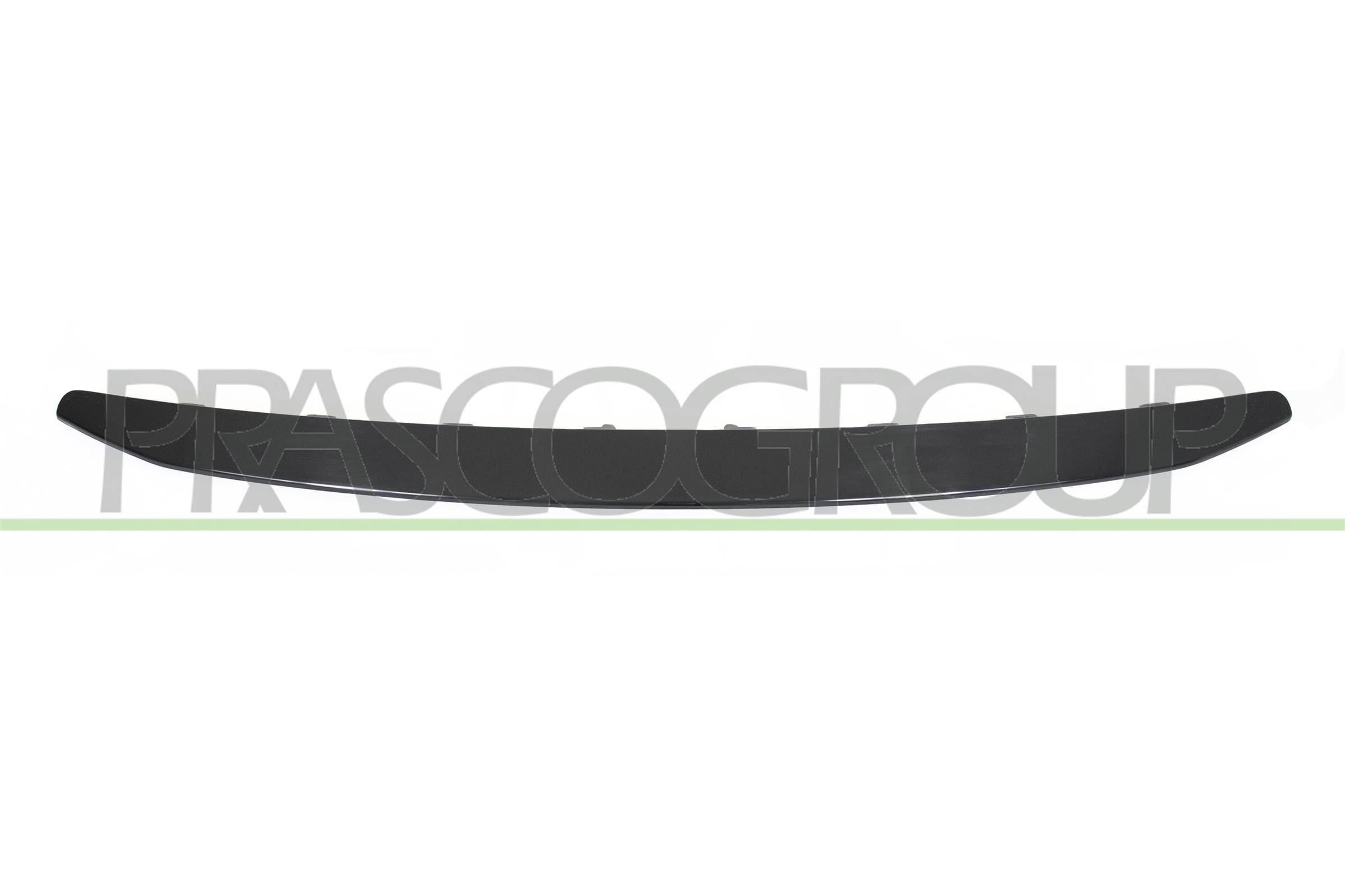 Trim/Protection Strip, radiator grille PRASCO PG5042206