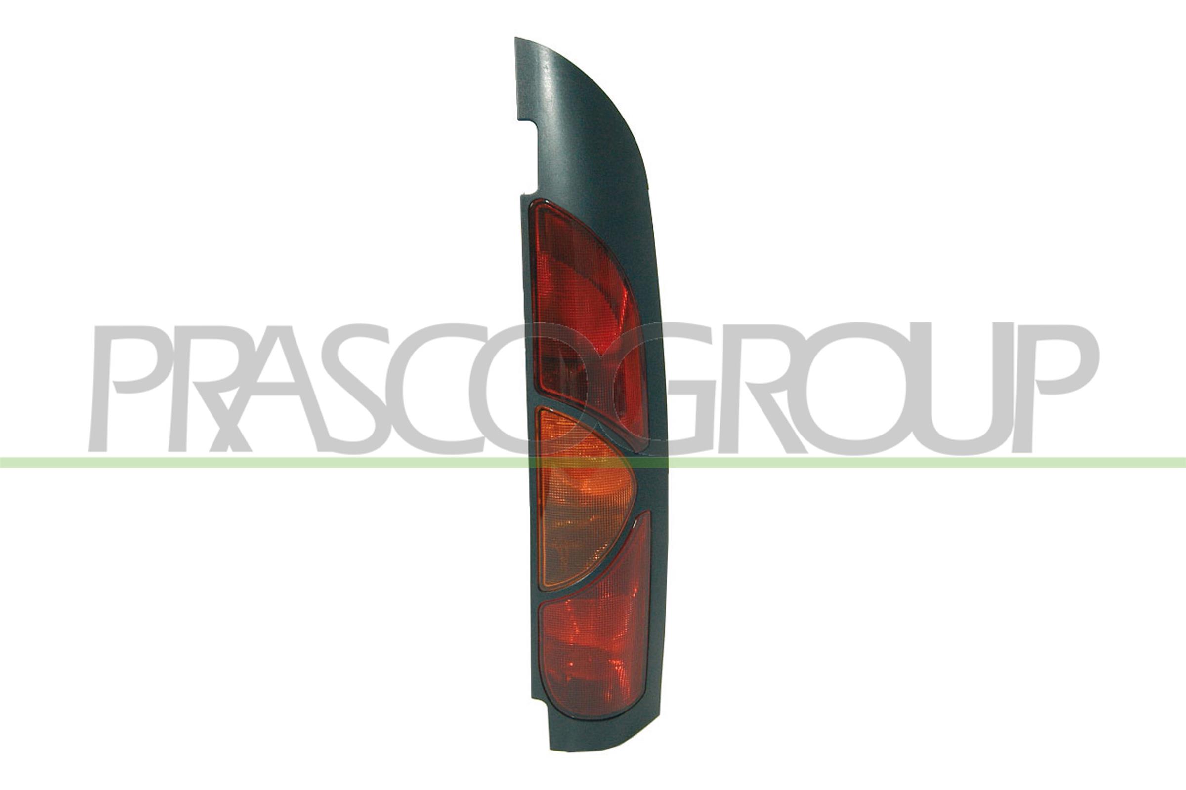 Tail Light Assembly PRASCO RN9164153