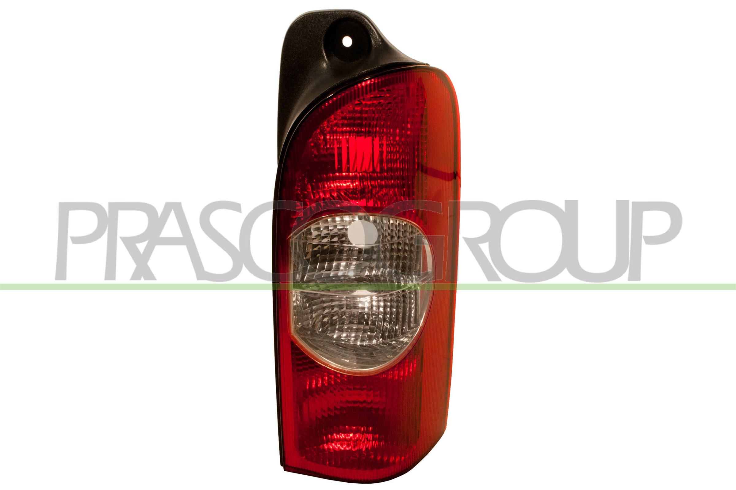 Tail Light Assembly PRASCO RN9524163