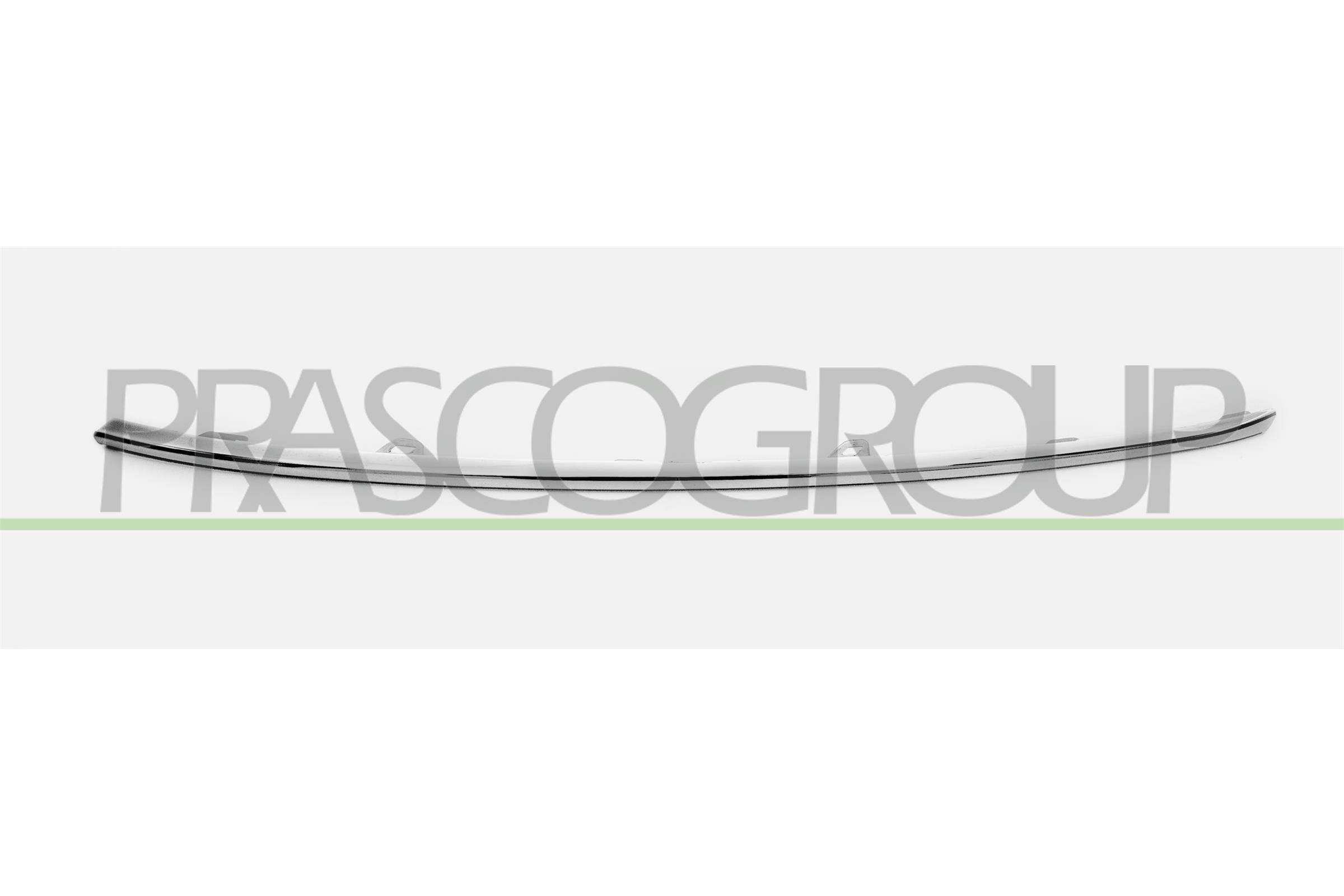 Trim/Protection Strip, radiator grille PRASCO SK0321243