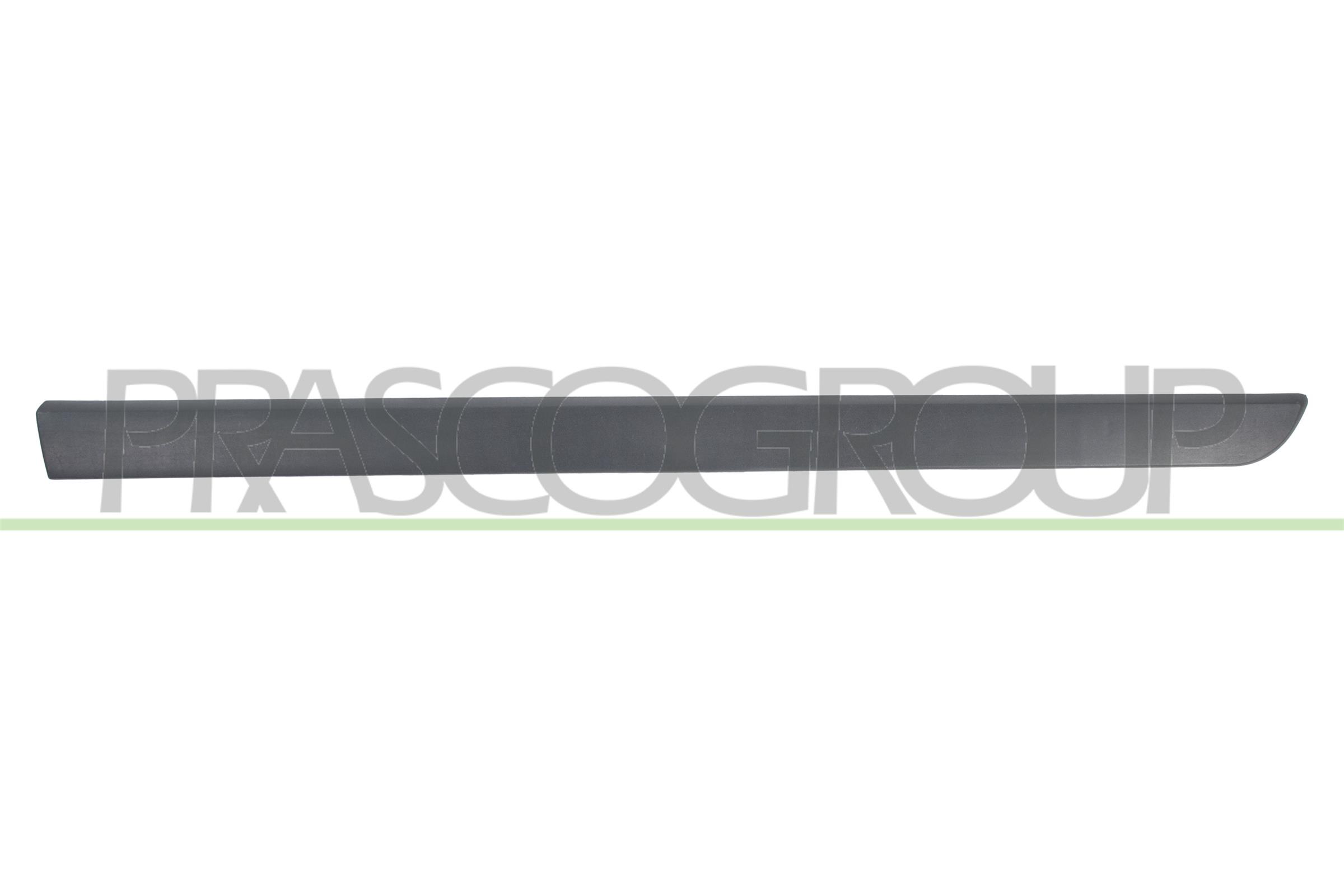 Trim/Protection Strip, door PRASCO RN4221403