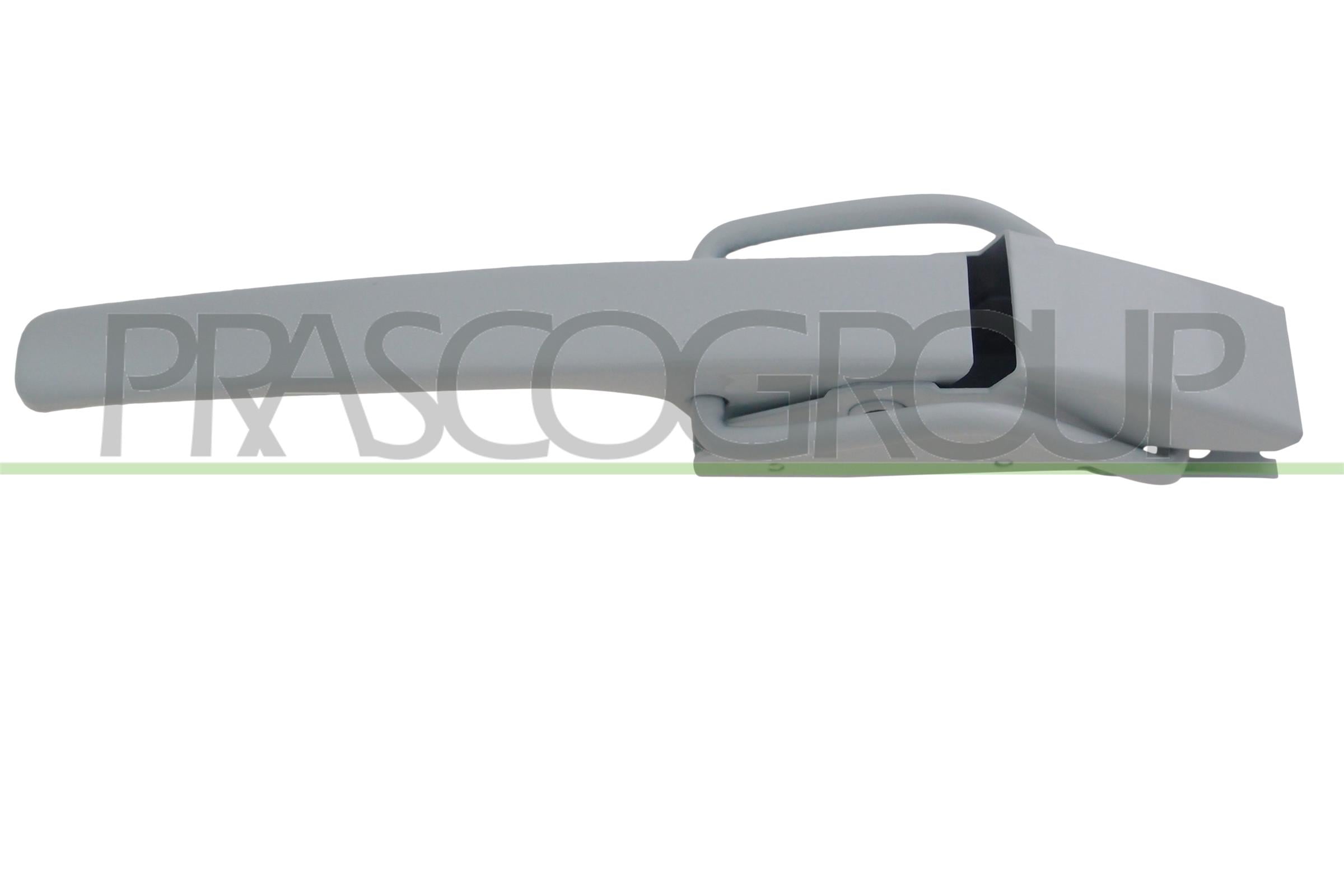 Exterior Door Handle PRASCO TY8188307