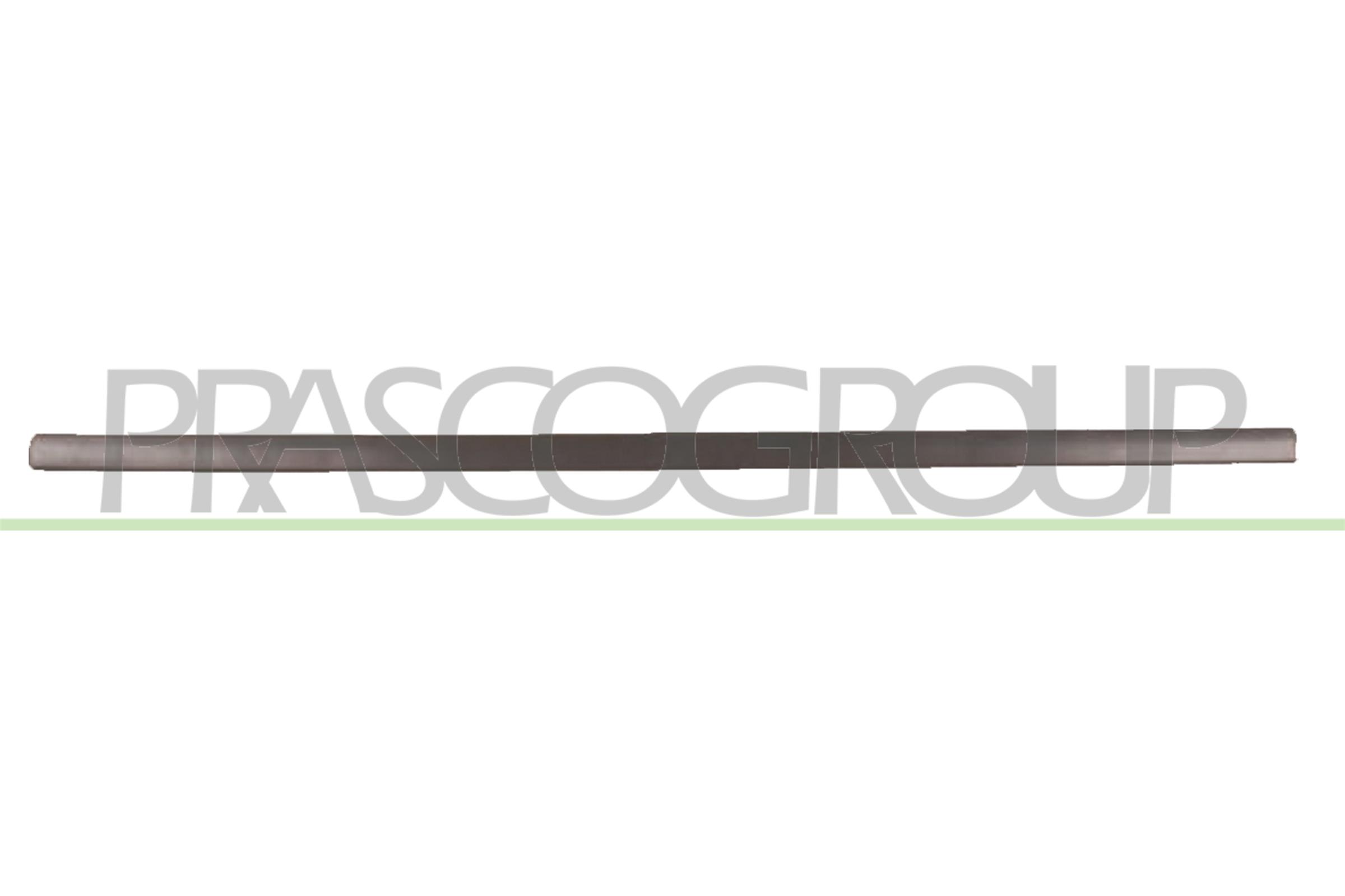Trim/Protection Strip, door PRASCO VG0341403