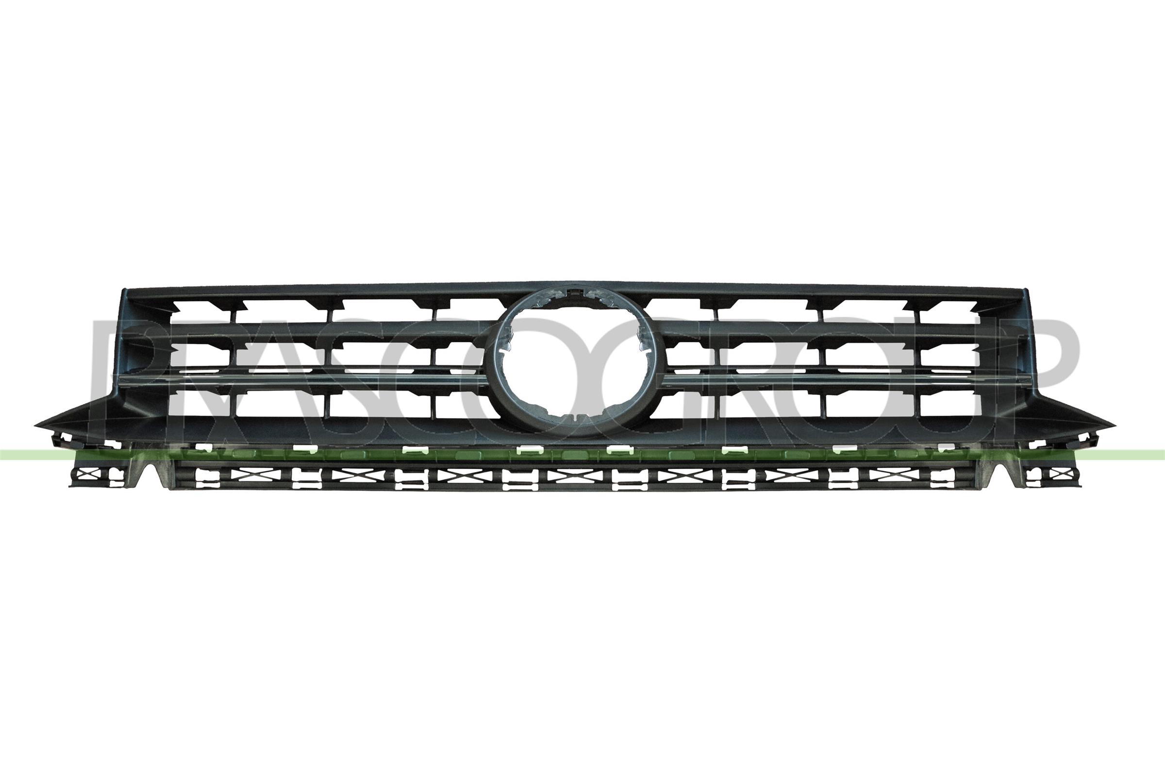 Radiator Grille PRASCO VG9072001