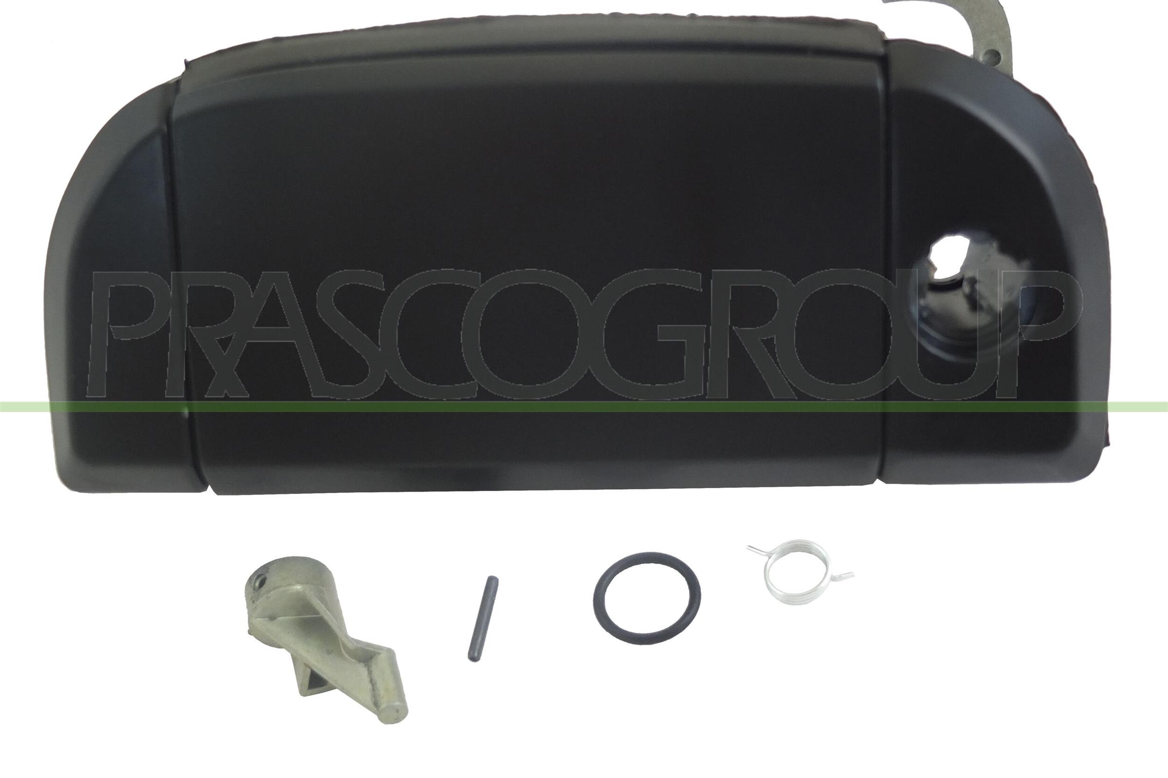 Exterior Door Handle PRASCO VG9138002