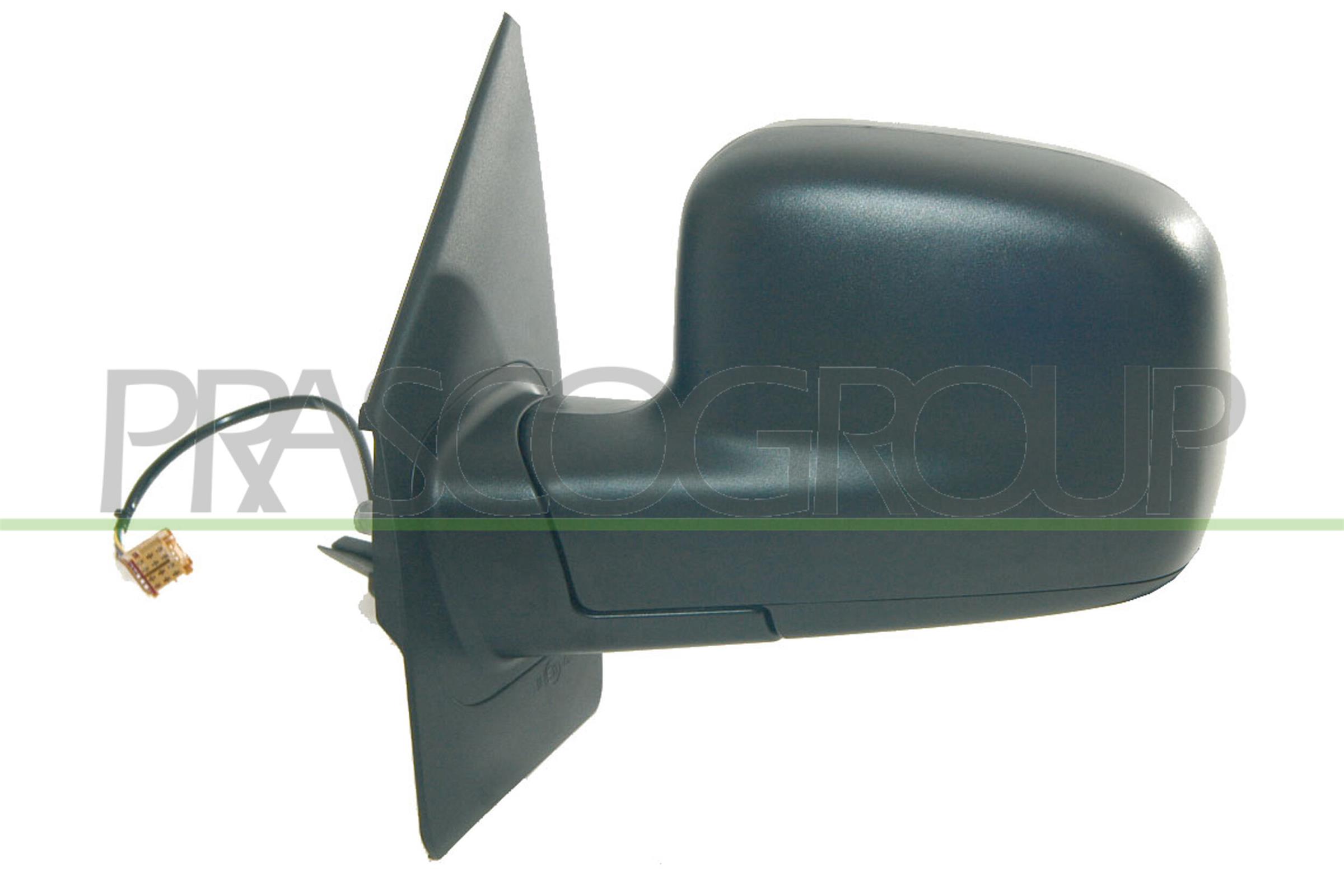Exterior Mirror PRASCO VG9177314P
