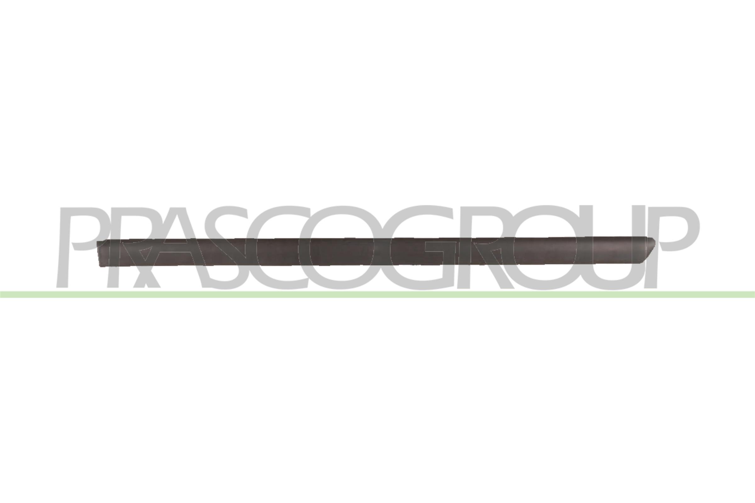Trim/Protection Strip, door PRASCO VG0521454