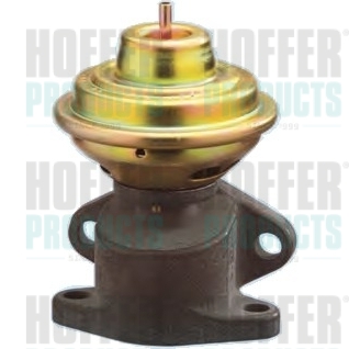 EGR Valve HOFFER 7518029