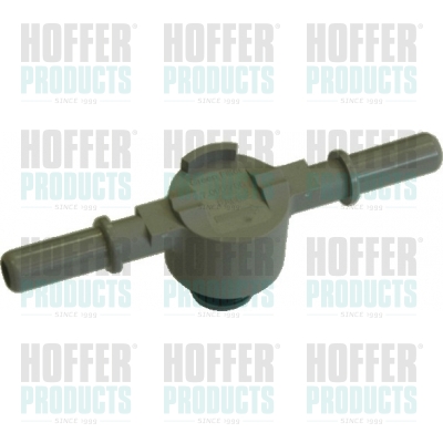 Valve, fuel filter HOFFER 8029120