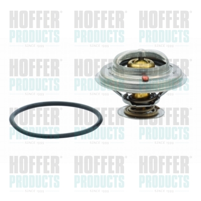 Thermostat, coolant HOFFER 8192466