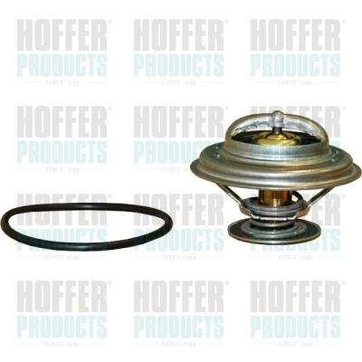 Thermostat, coolant HOFFER 8192476