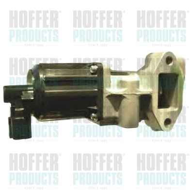 EGR Valve HOFFER 7518127