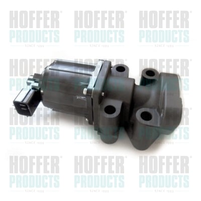 EGR Valve HOFFER 7518285