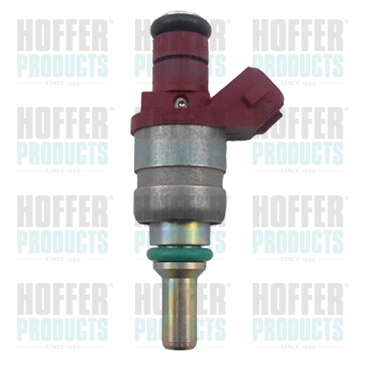 Injector HOFFER H75117814