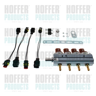 Injector HOFFER H13065